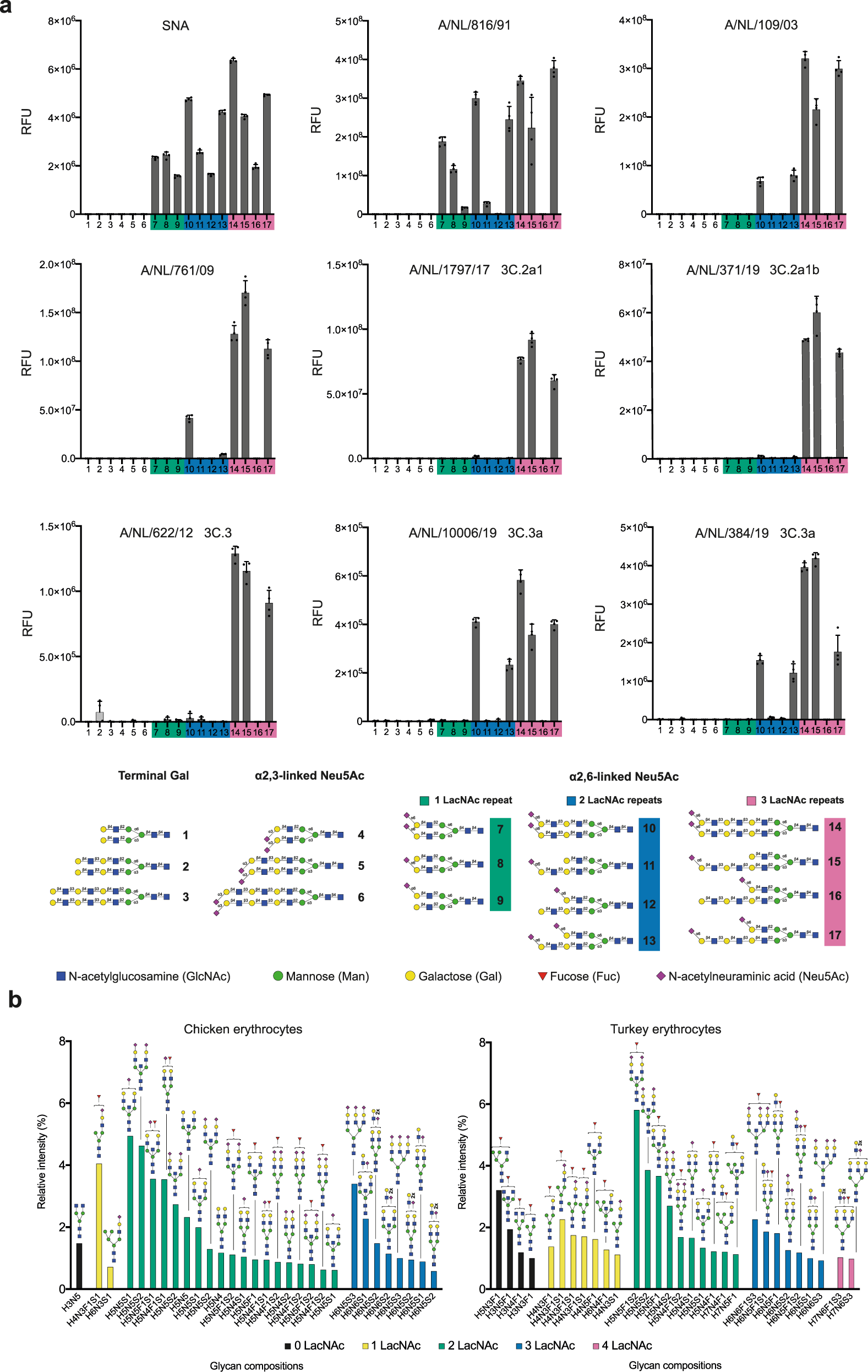 Glycan Remodeled Erythrocytes Facilitate Antigenic Characterization Of Recent A H3n2 Influenza Viruses Nature Communications