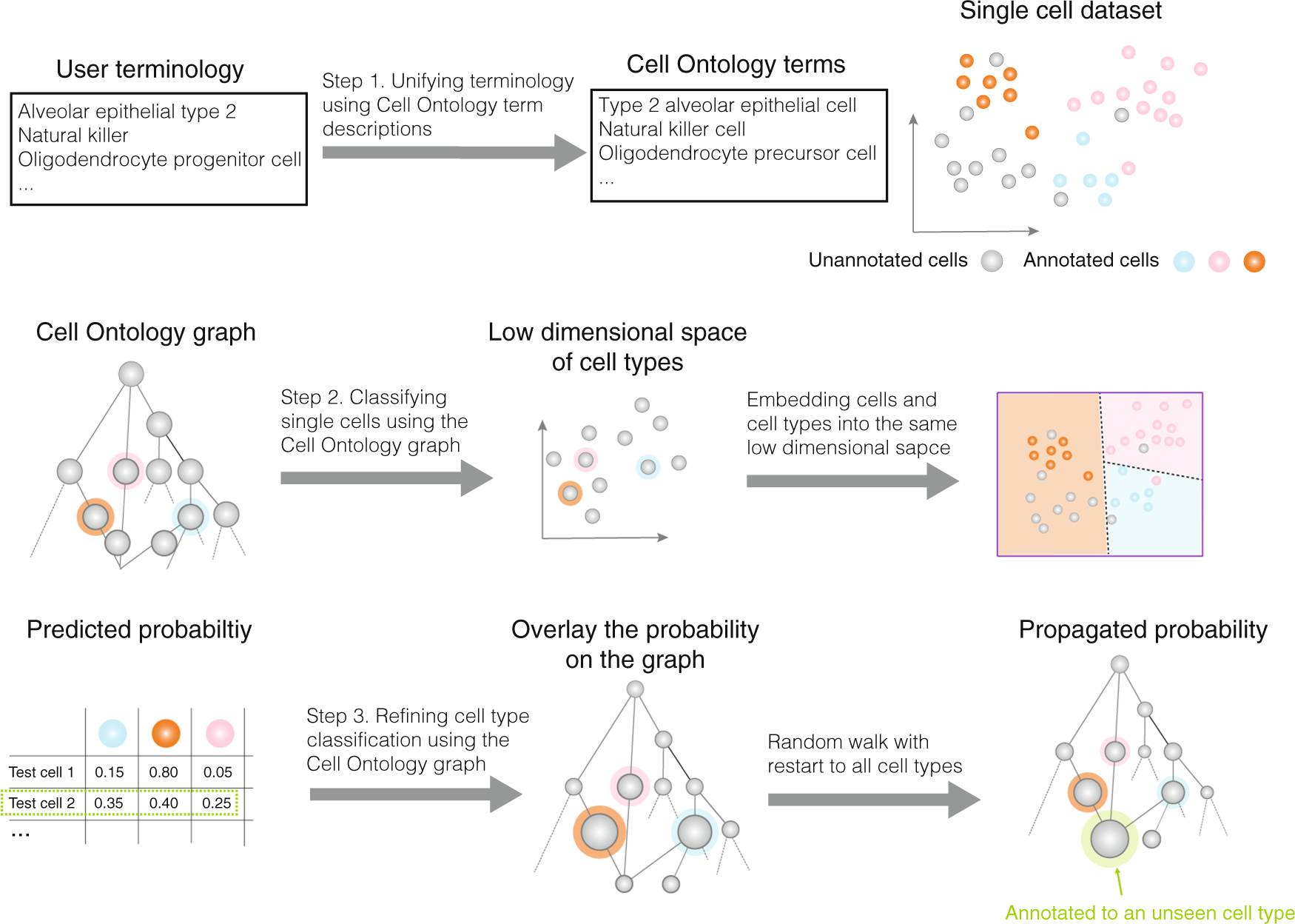 Leveraging the Cell Ontology to classify unseen cell types | Nature  Communications