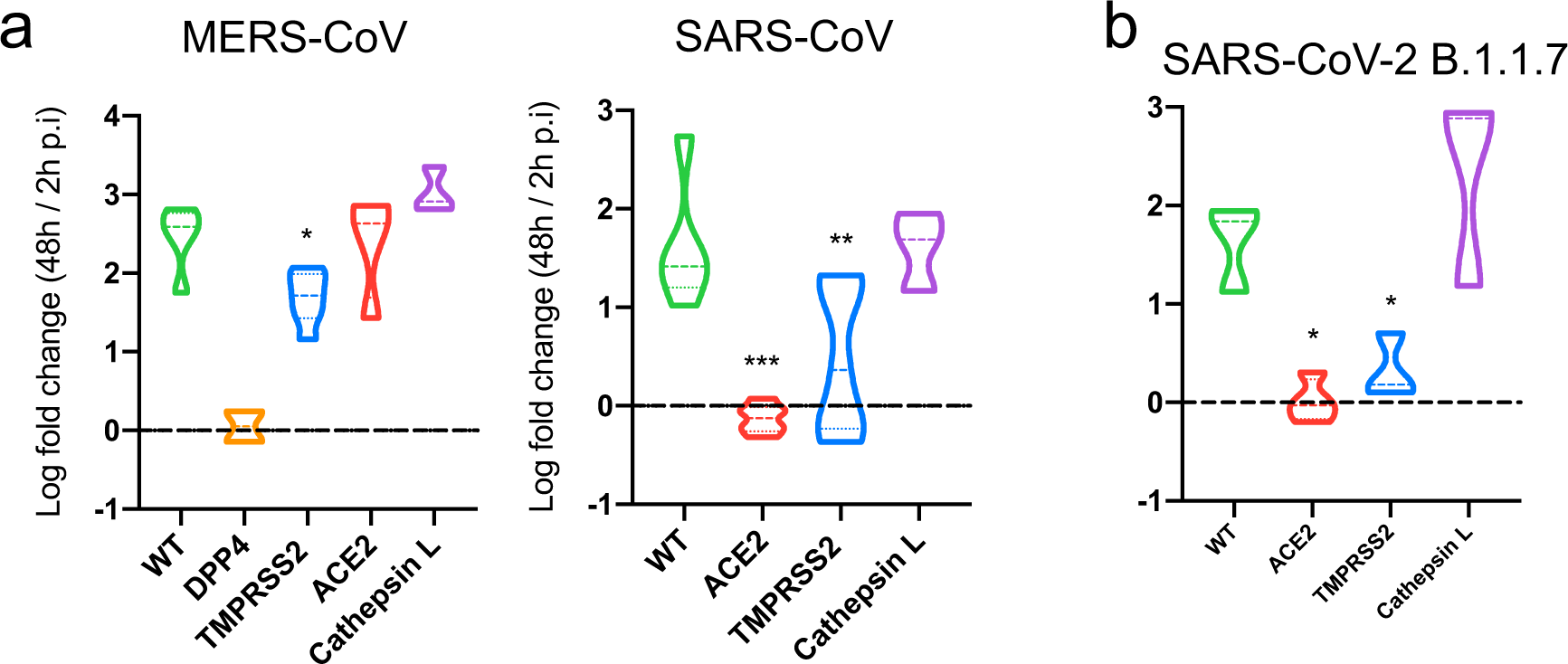 Fig. 6: Host protease dependency in the SARS-CoV-2 variant of concern B.1.1.7 and other coronaviruses.