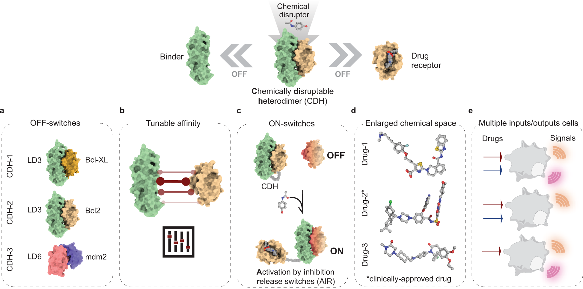 A rational blueprint for the design of chemically-controlled protein  switches | Nature Communications