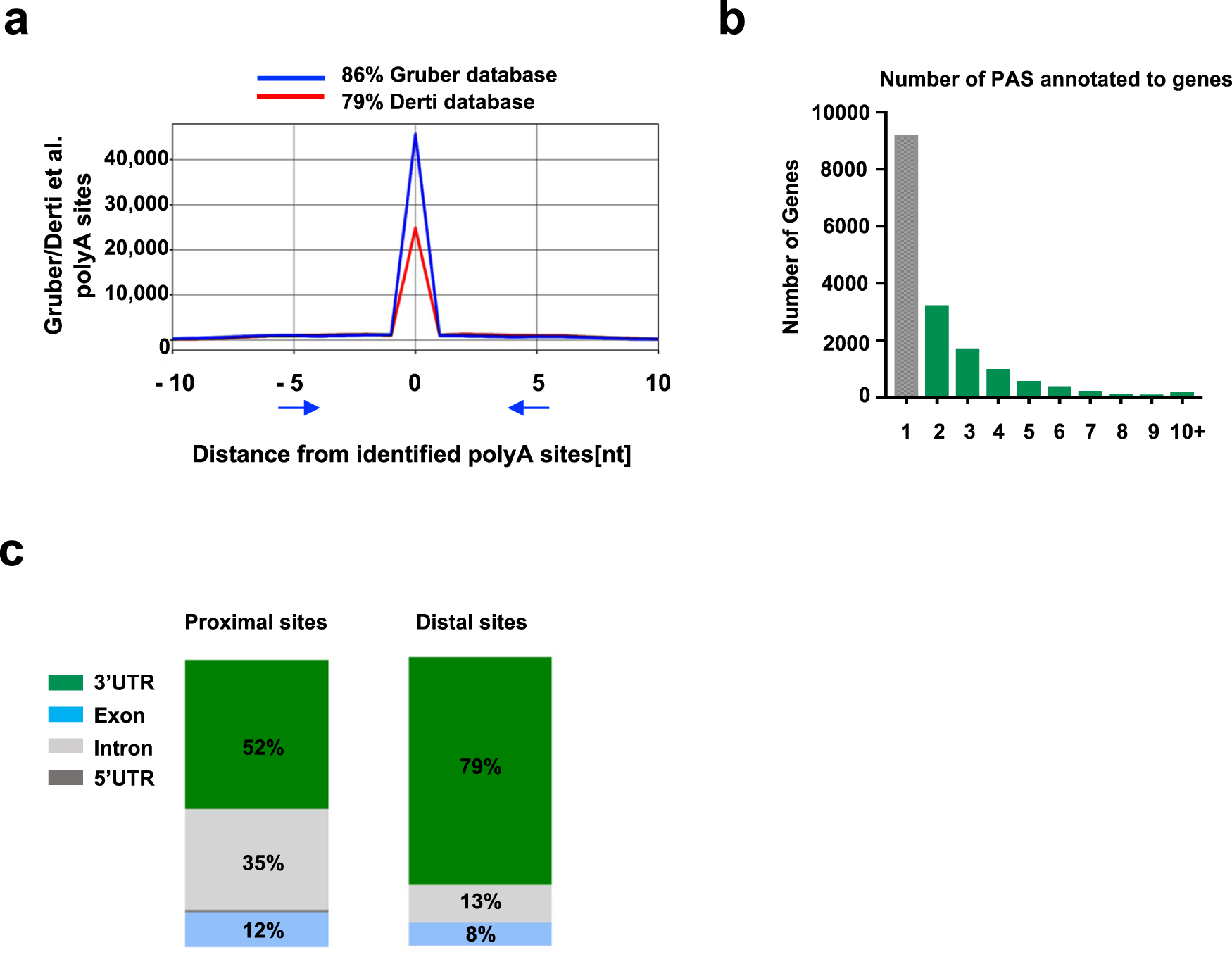 A comprehensive map of alternative polyadenylation in African American and  European American lung cancer patients | Nature Communications