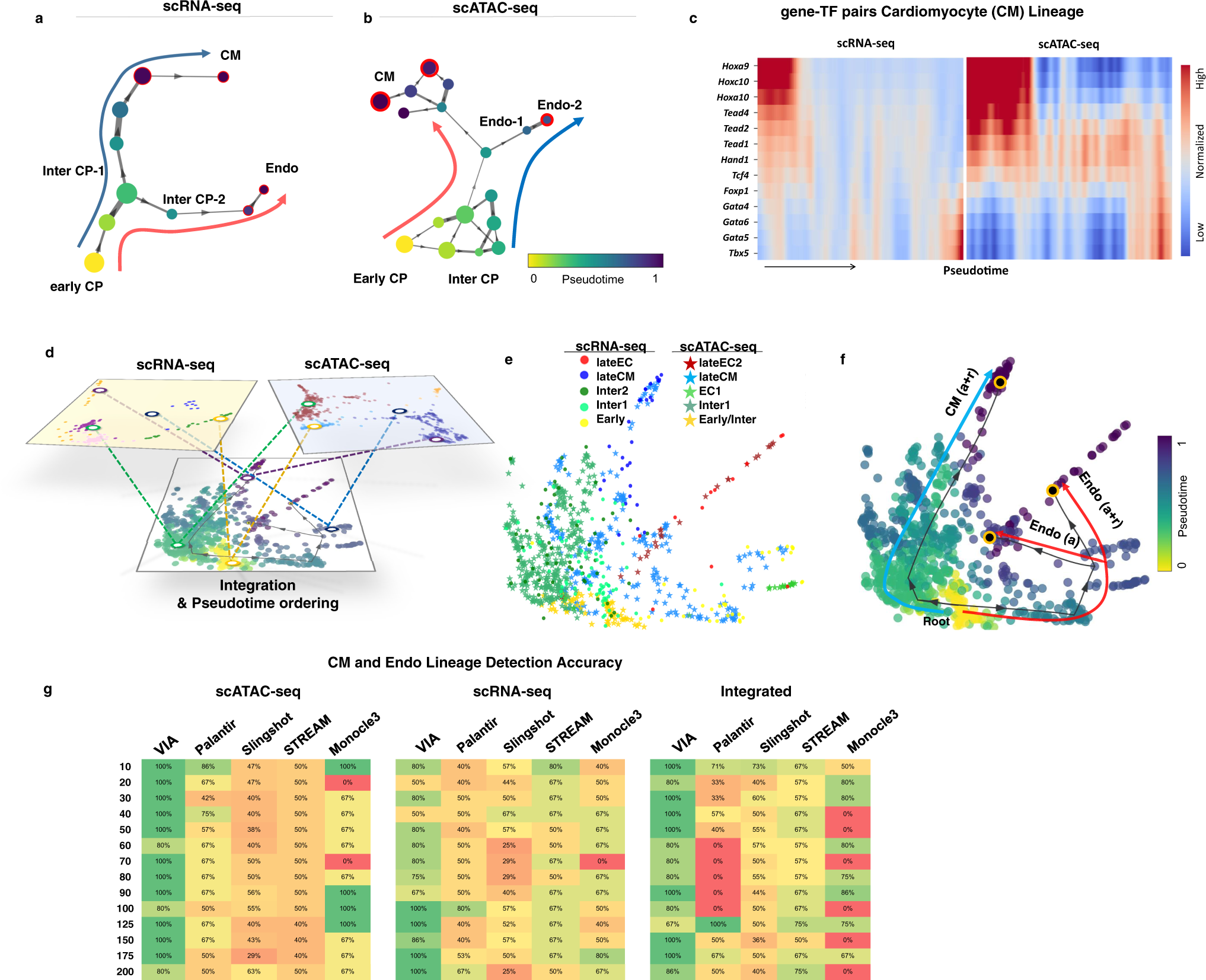 Fig. 5: Multi-omic integrated analysis of scRNA-seq and scATAC-seq cardiac progenitors.