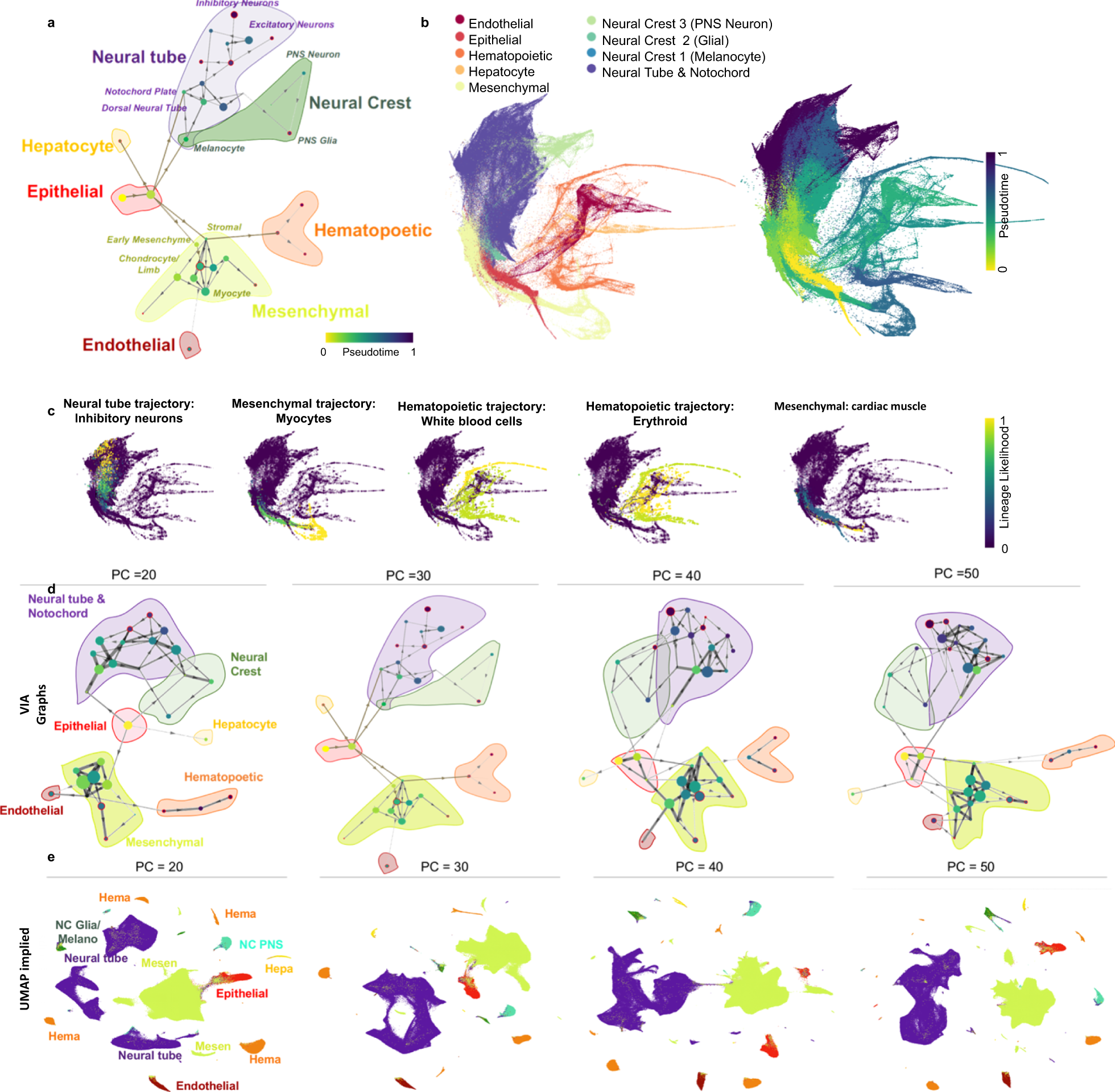 Fig. 6: VIA accurately infers global connectivity and sub-trajectories in the 1.3-million scRNA-seq mouse organogenesis cell atlas.