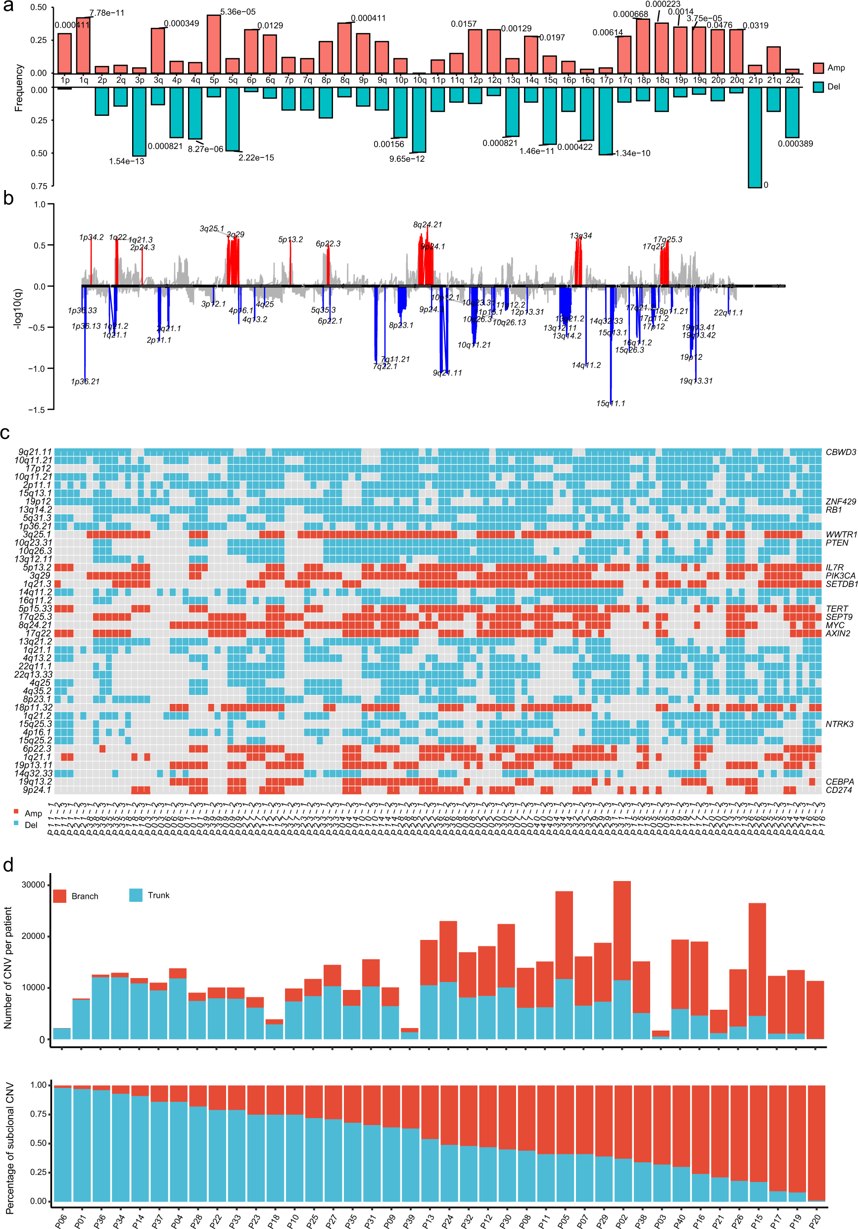 Fig. 2: Copy number alterations in our cohort.