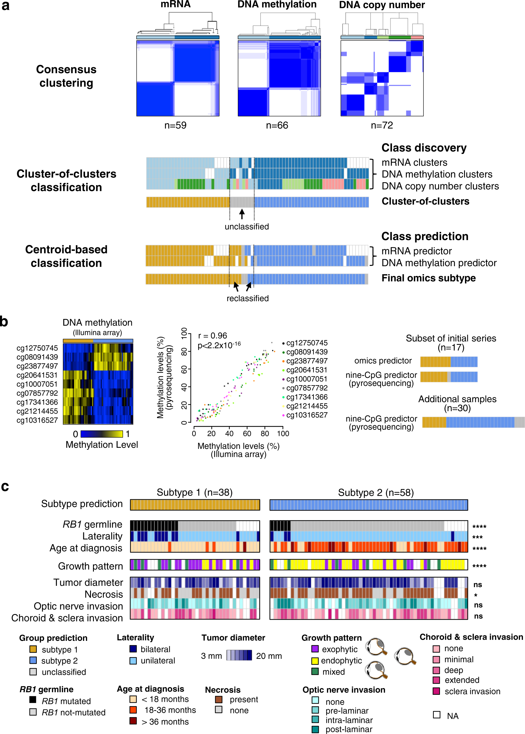 System Modularity Chip for Analysis of Rare Targets (SMART-Chip): Liquid  Biopsy Samples