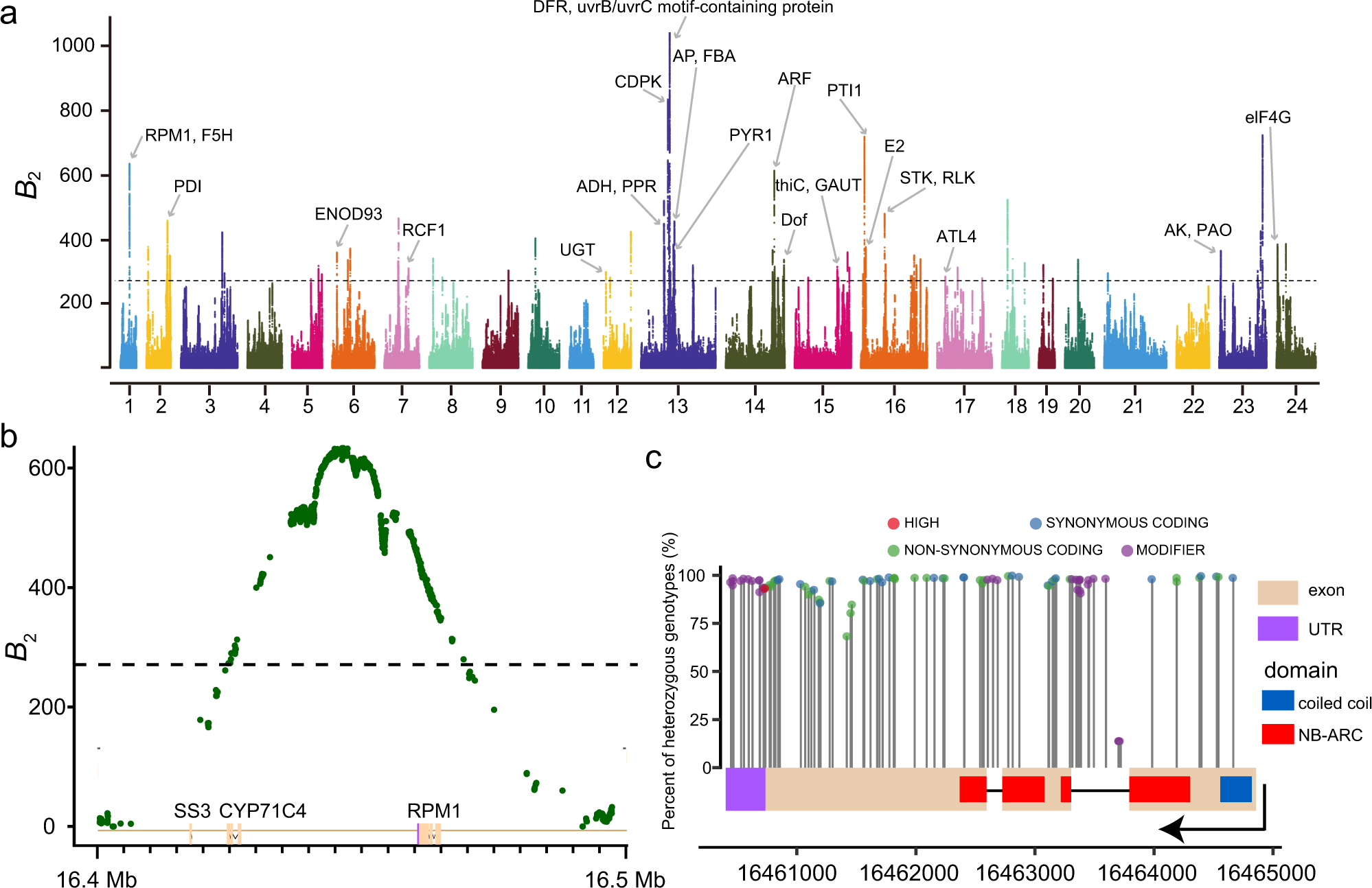 Fig. 2: Balancing selection in the moso bamboo population underlies adaptation.