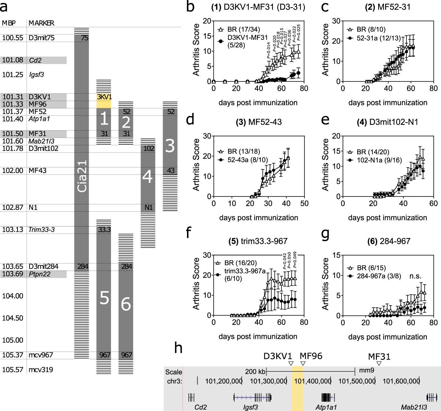 Polymorphic estrogen receptor binding site causes Cd2-dependent sex bias in the susceptibility to autoimmune diseases Nature Communications picture