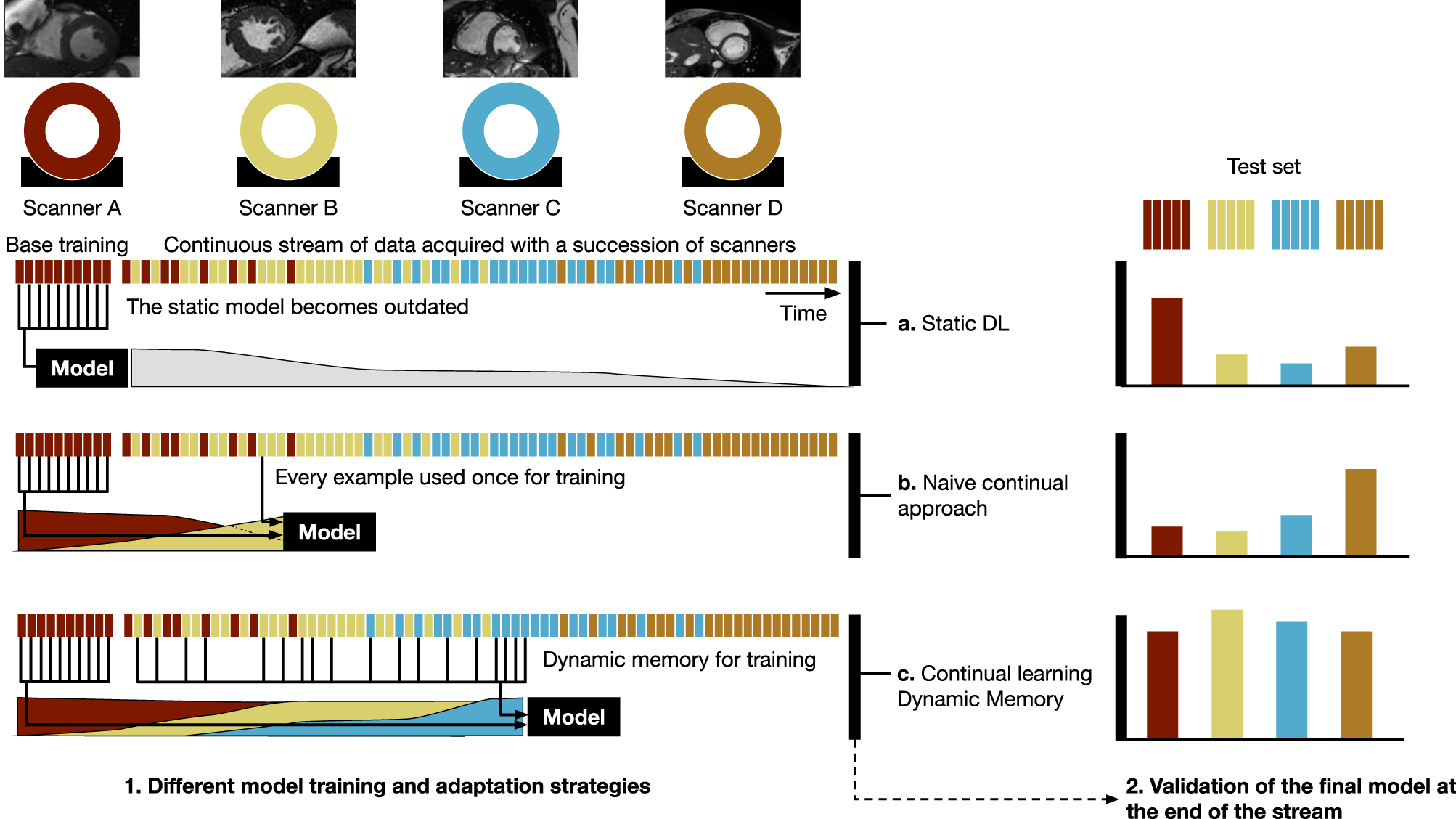 Dynamic memory to alleviate catastrophic forgetting in continual learning  with medical imaging | Nature Communications