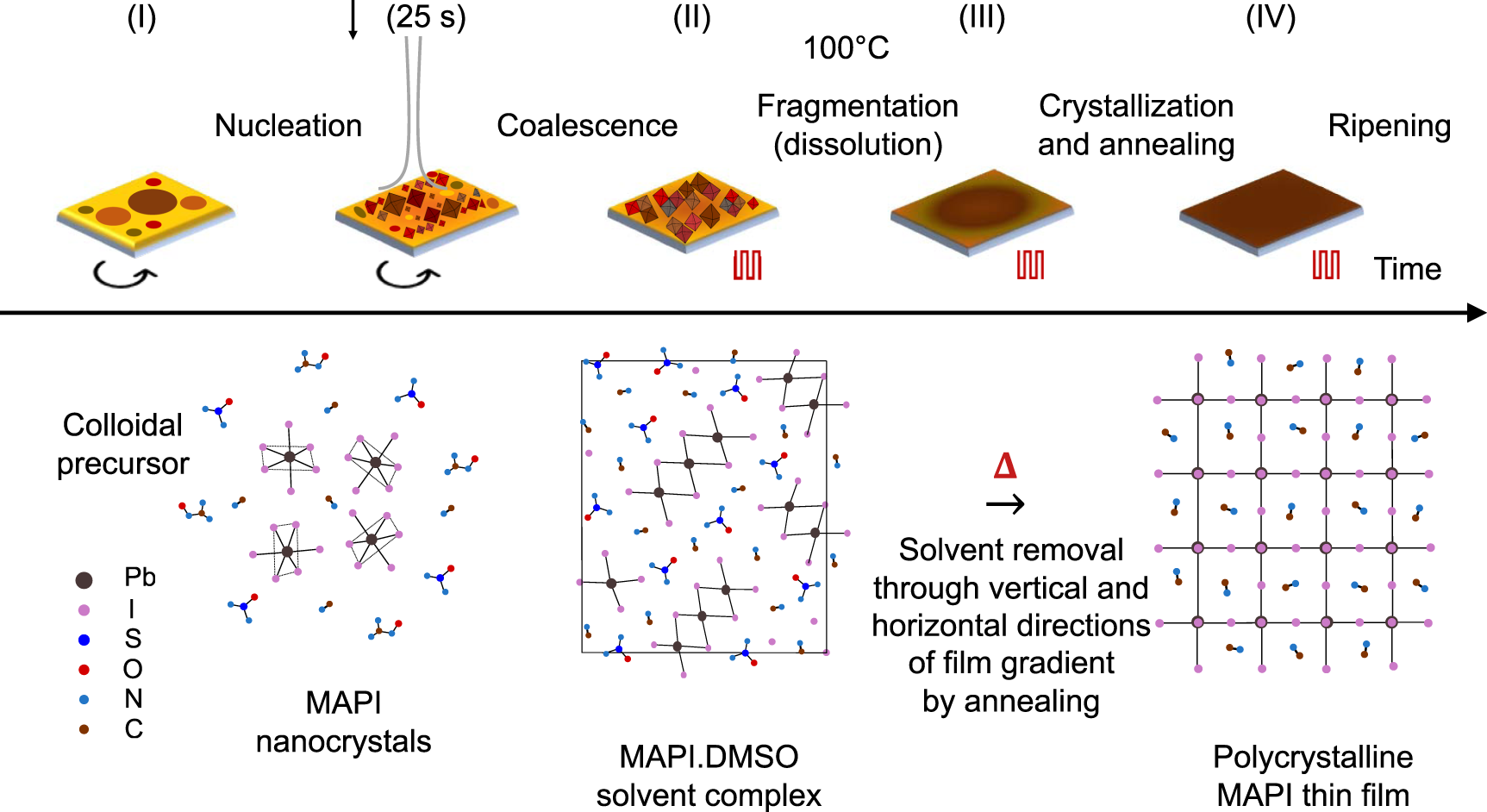 Fig. 4: Four phases of film formation during spin coating.