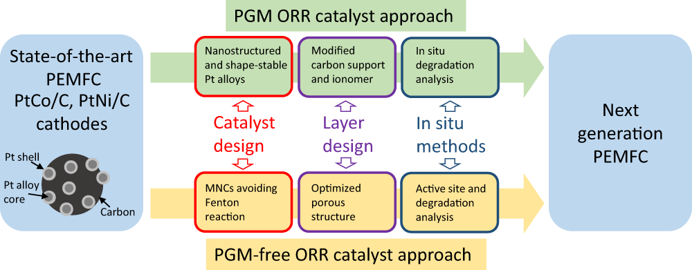 Distortion-Induced Interfacial Charge Transfer at Single Cobalt Atom  Secured on Ordered Intermetallic Surface Enhances Pure Oxygen Production