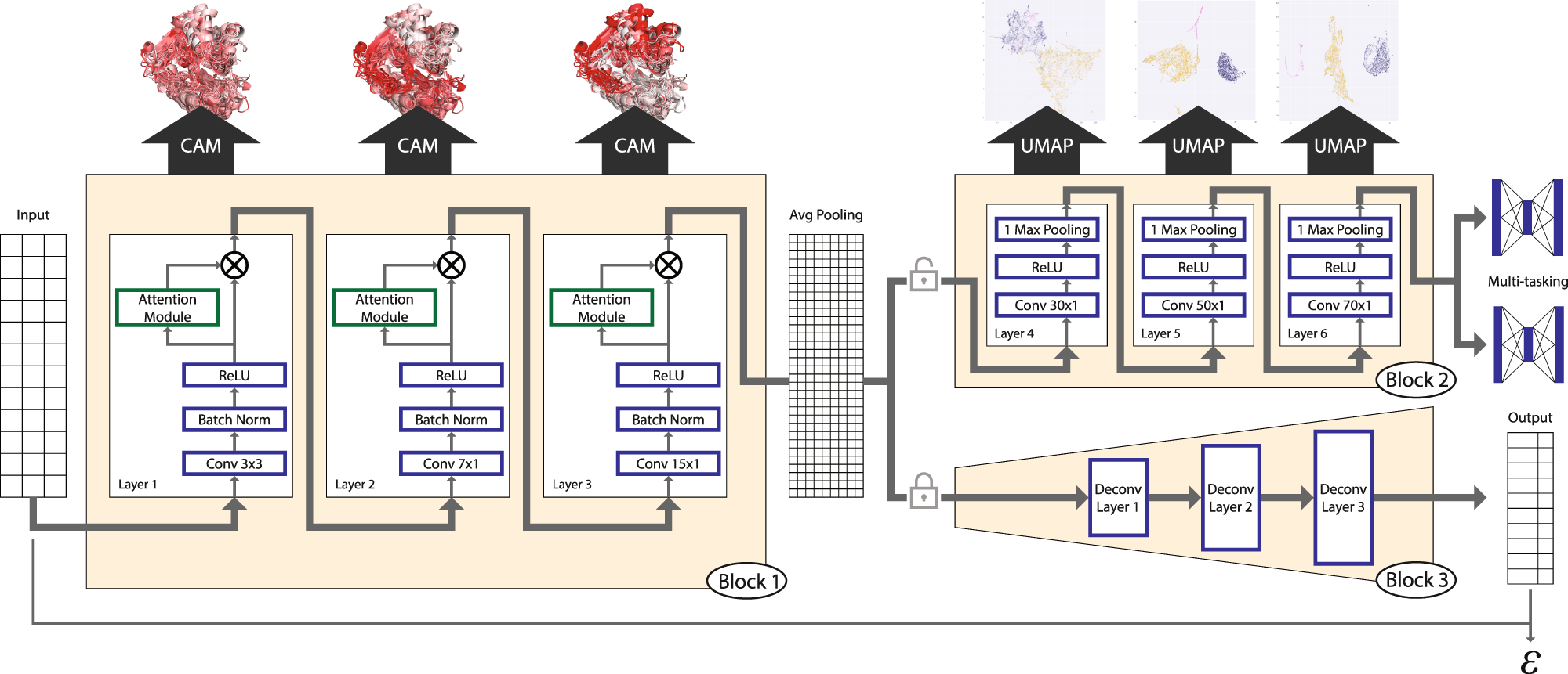 Schematic representations of the architecture of the Rossmann fold. The