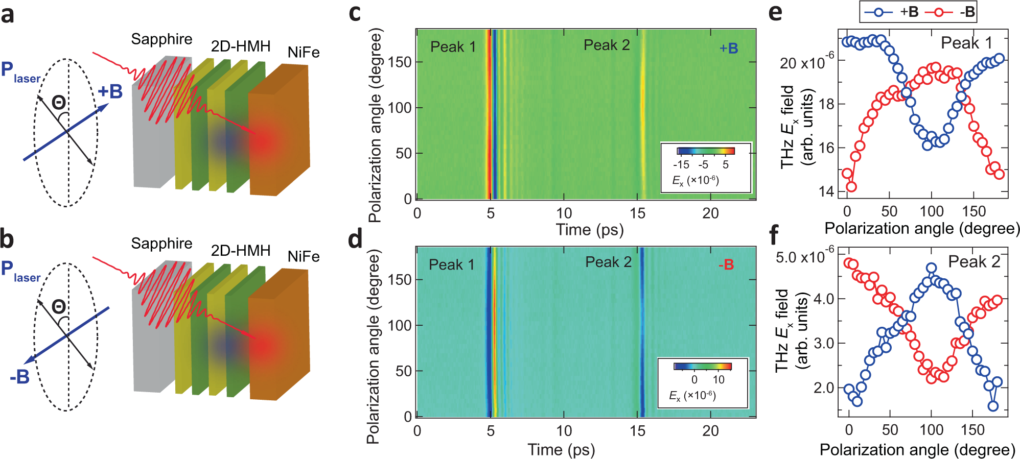 Fig. 4: Pump polarization dependence of asymmetric THz radiation.