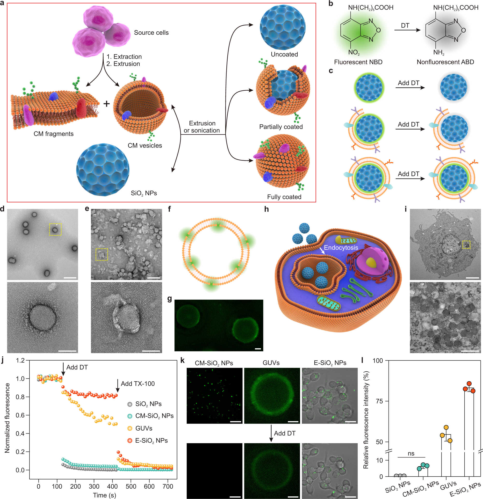 Effect of the multilayer structure on the immunoassay. Antigen-antibody