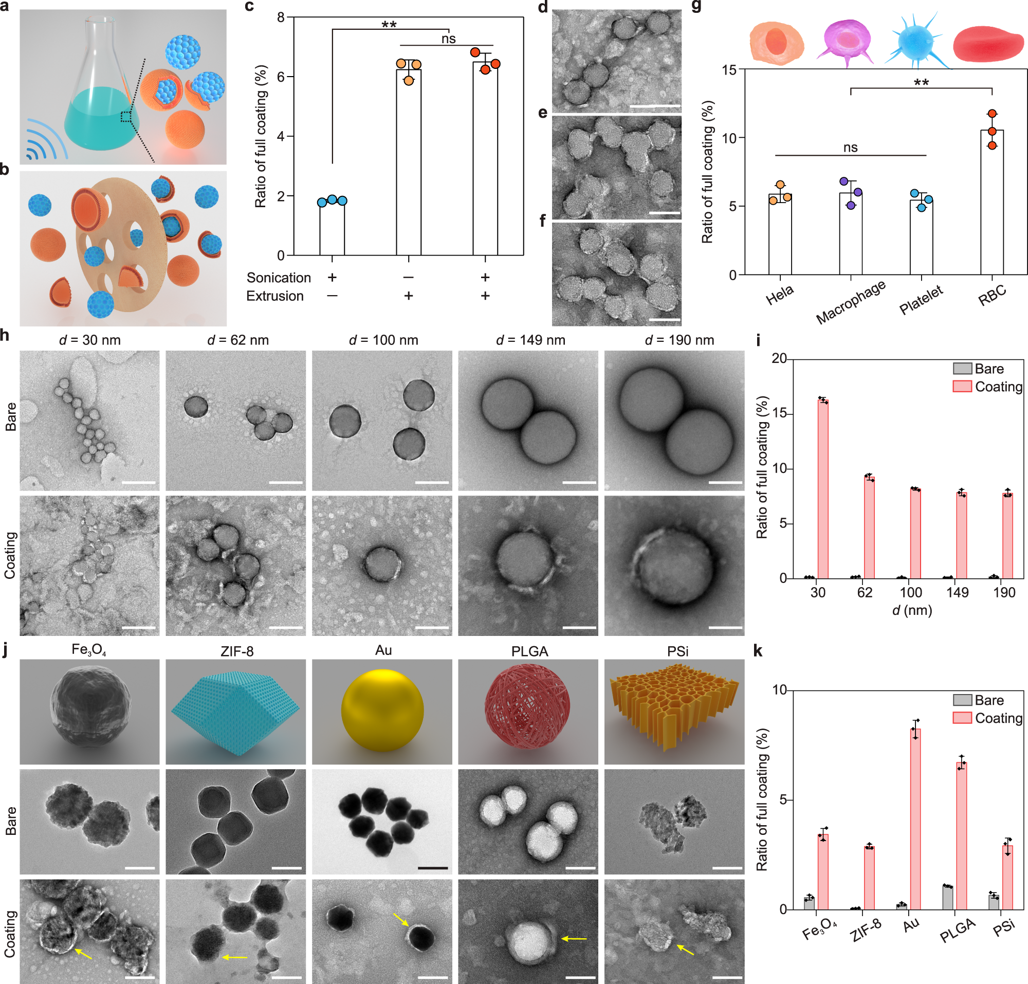 Fig. 2: Validation of partial cell membrane coating under different experimental designs.