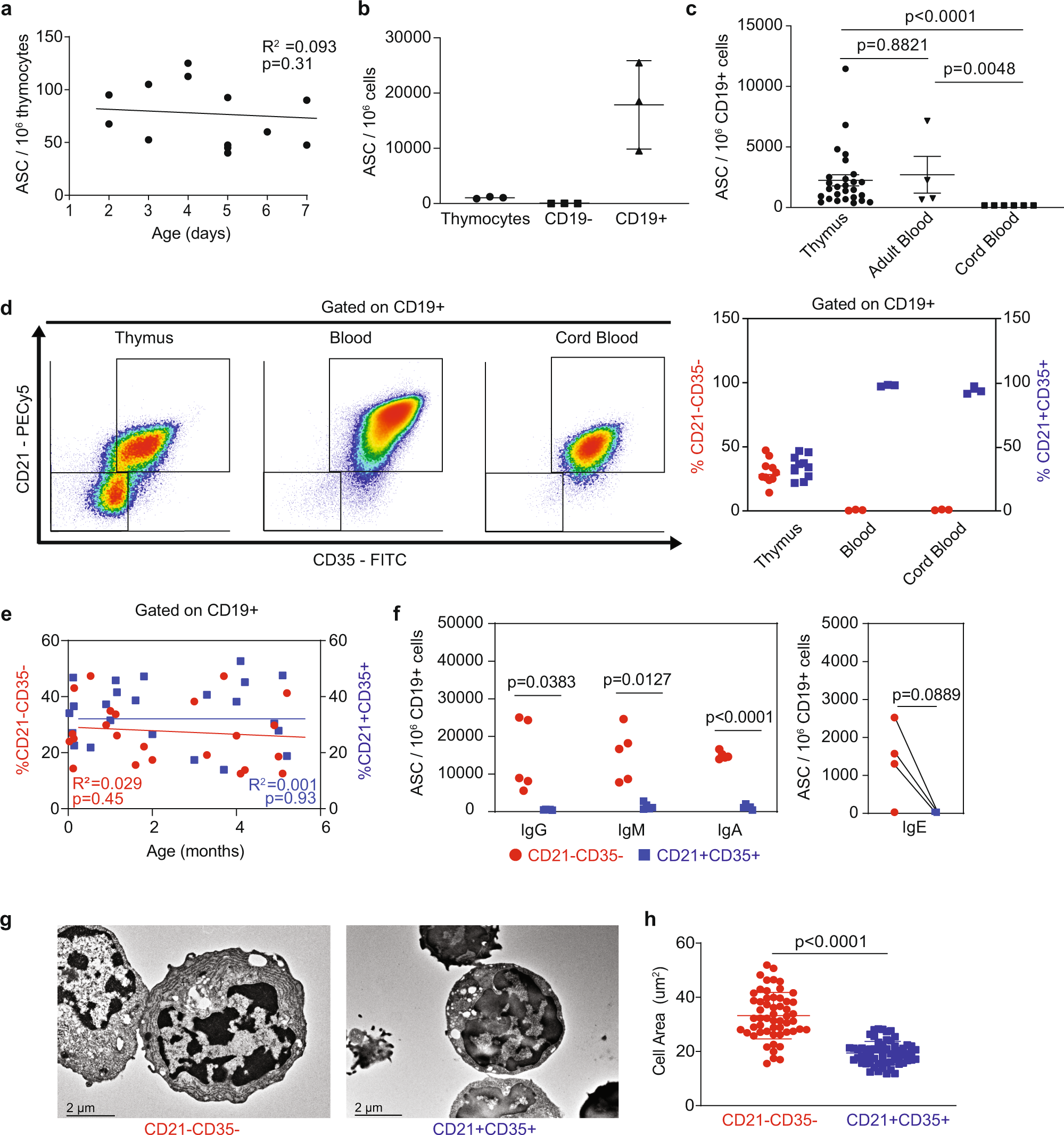 intrathymic differentiation of natural antibody producing plasma cells in human neonates nature communications