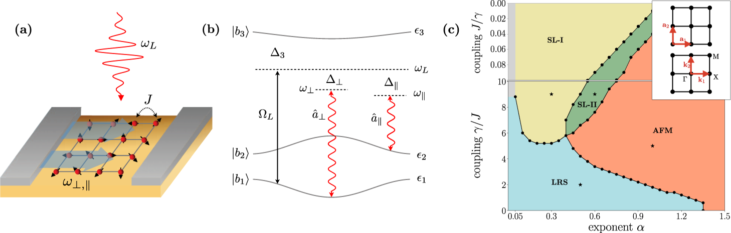 Bekostning kalligraf Forvirret Cavity-induced quantum spin liquids | Nature Communications