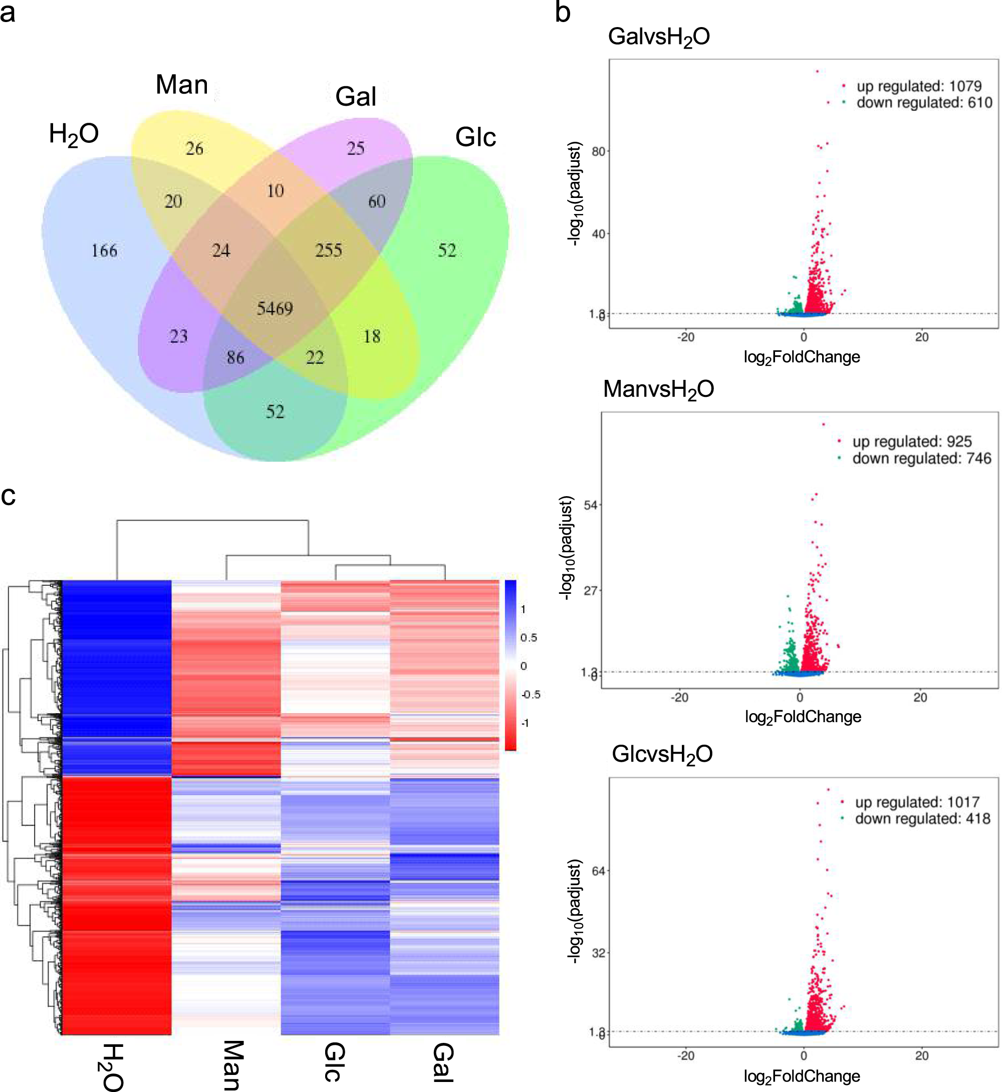 Fig. 2: Gene expression in B. salamandrivorans.