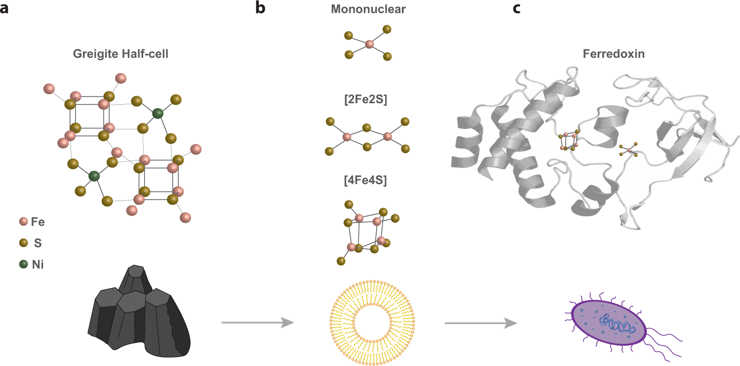 Electrochemical Analyses of Redox-Active Iron Minerals: A Review