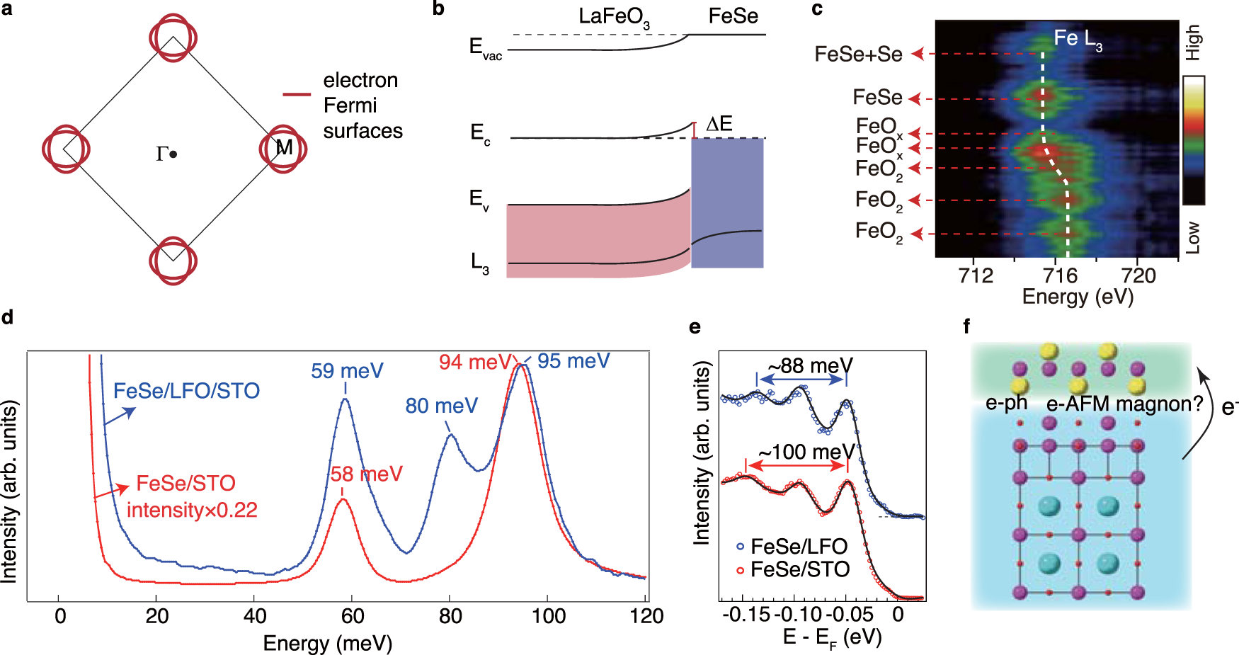 Fig. 4: Interfacial charge transfer and electron–phonon interactions.