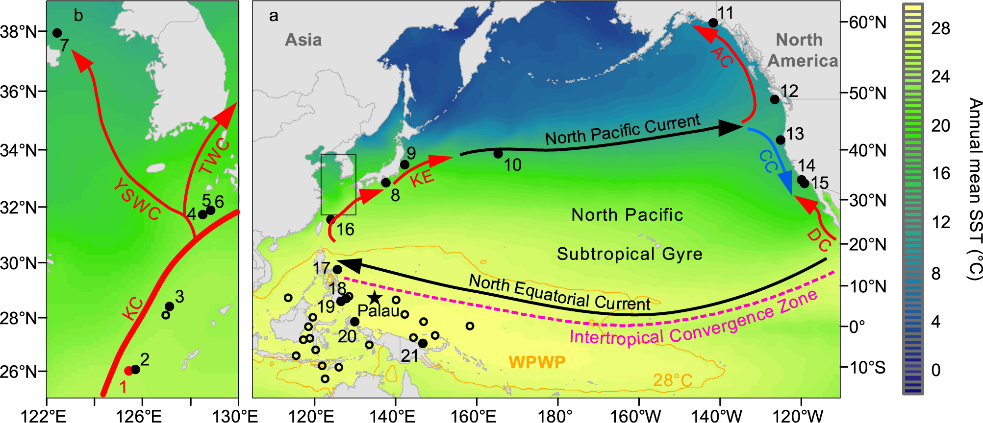 Enhanced North Pacific subtropical gyre circulation during the late  Holocene