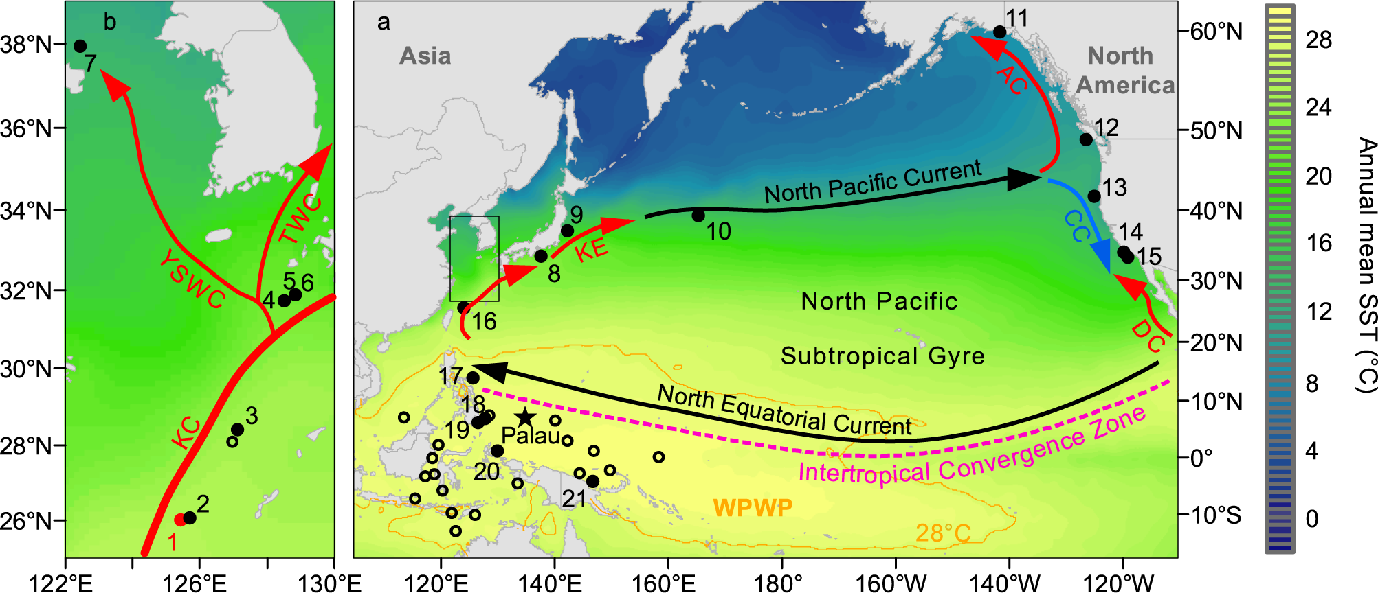 Contrasting surface warming of a marginal basin due to large-scale climatic  patterns and local forcing