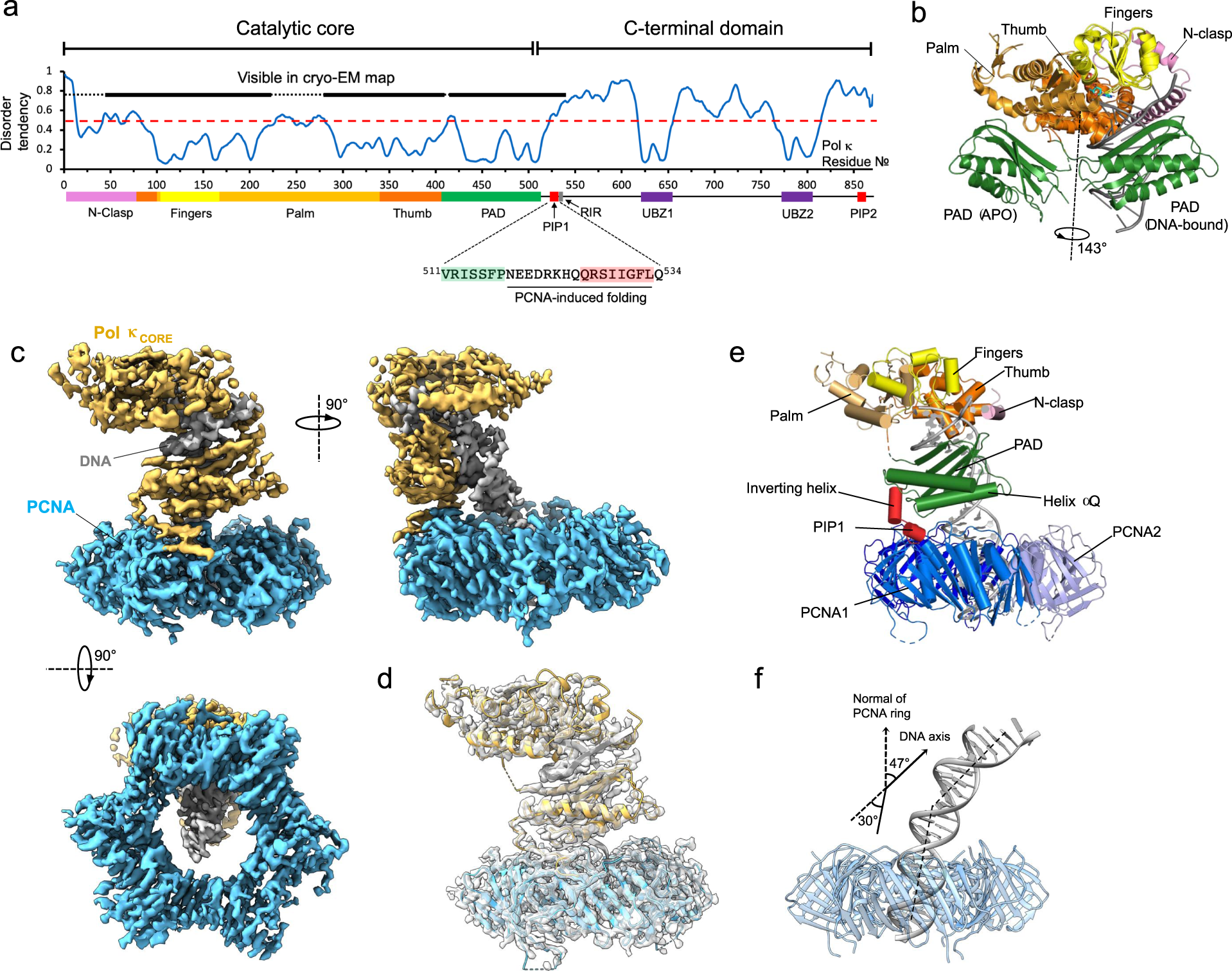 Cryo-EM structure of human Pol κ bound to DNA and mono-ubiquitylated PCNA |  Nature Communications