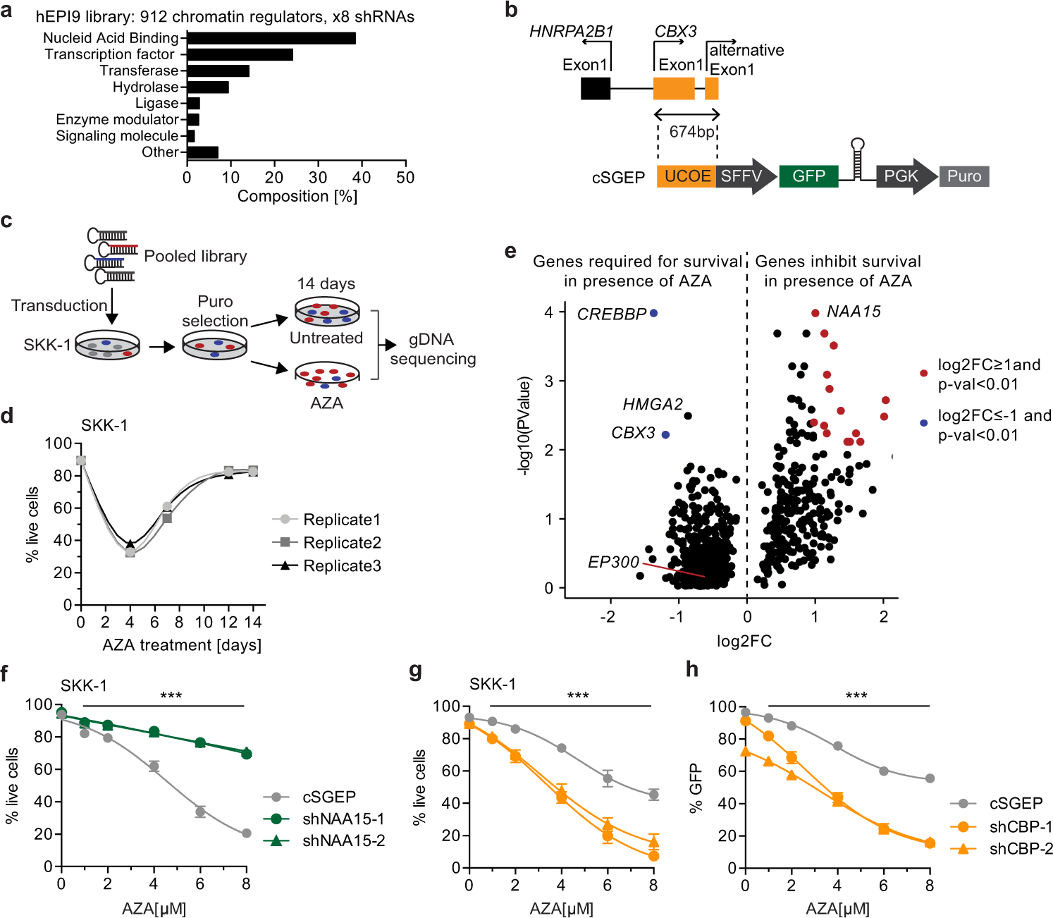 Inhibition Of Cbp Synergizes With The Rna-Dependent Mechanisms Of  Azacitidine By Limiting Protein Synthesis | Nature Communications Inhibition Of Cbp Synergizes With The Rna-Dependent Mechanisms Of  Azacitidine By Limiting Protein Synthesis | Nature Communications