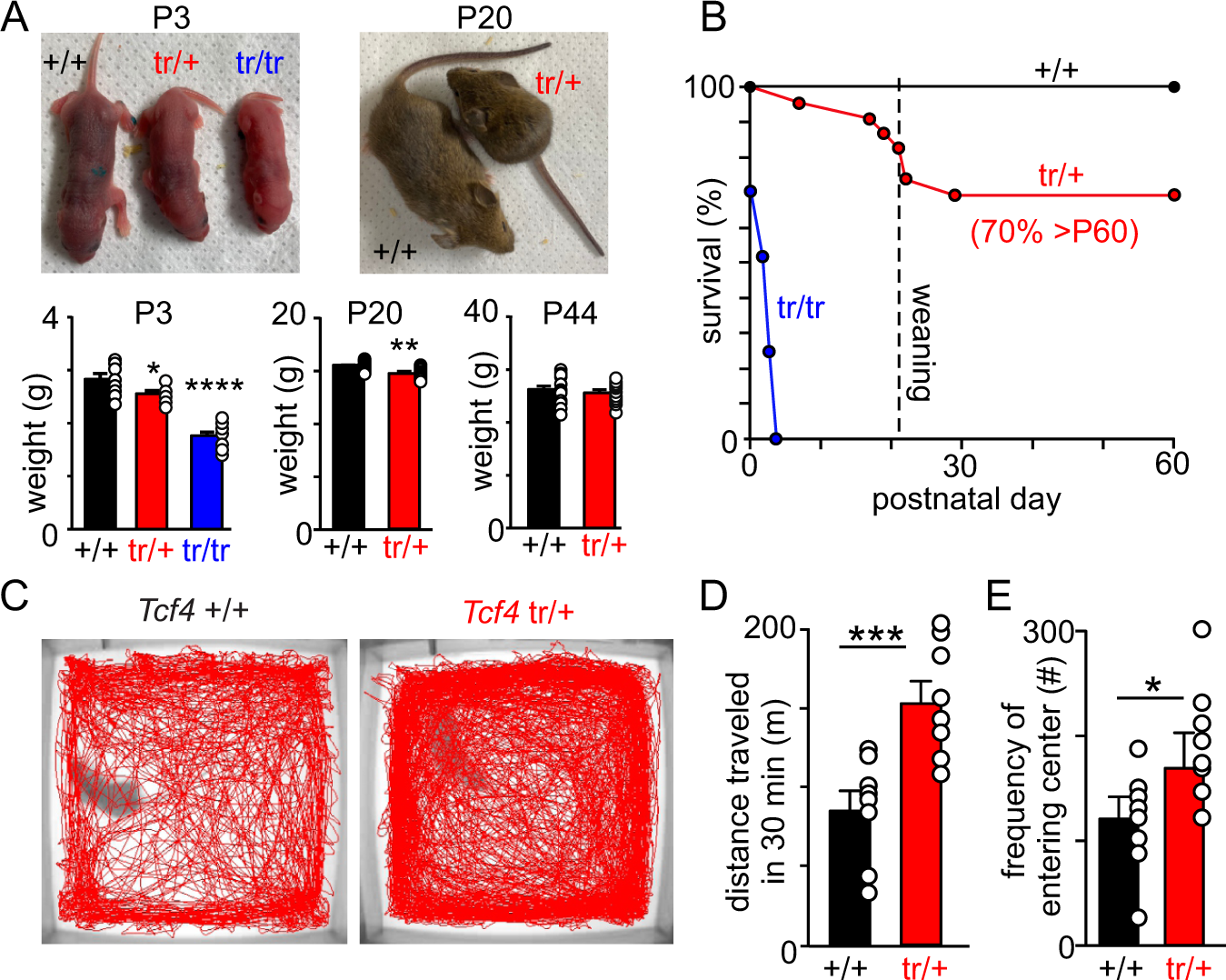 Disordered breathing in a Pitt-Hopkins syndrome model involves  Phox2b-expressing parafacial neurons and aberrant Nav1.8 expression |  Nature Communications