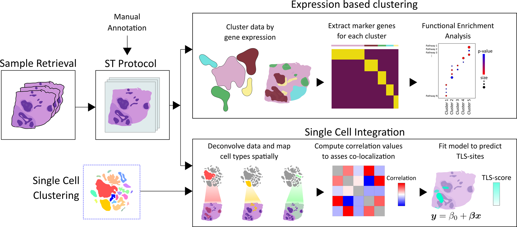 Spatial deconvolution of HER2-positive breast cancer delineates  tumor-associated cell type interactions | Nature Communications