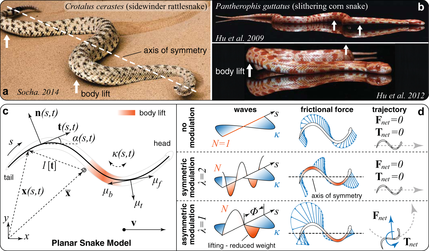Friction modulation in limbless, three-dimensional gaits and heterogeneous  terrains | Nature Communications
