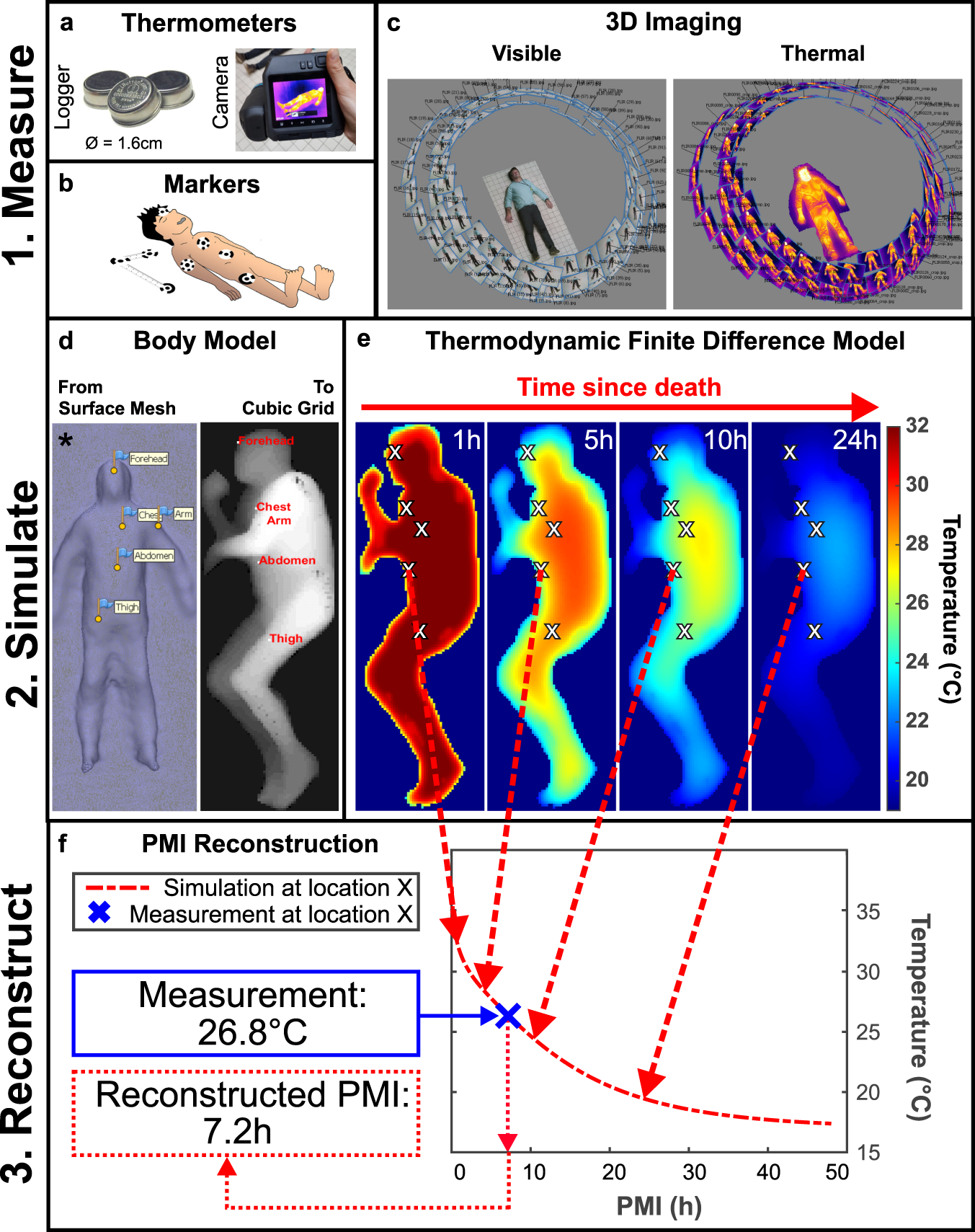 Individualised and non-contact post-mortem interval determination of human  bodies using visible and thermal 3D imaging | Nature Communications
