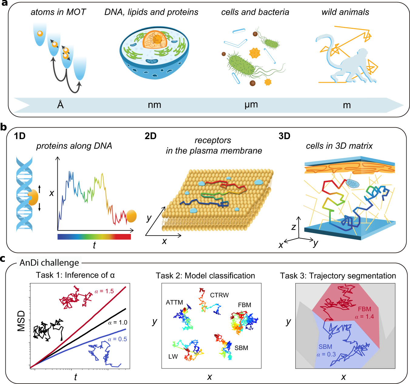 Objective comparison of methods to decode anomalous diffusion | Nature  Communications