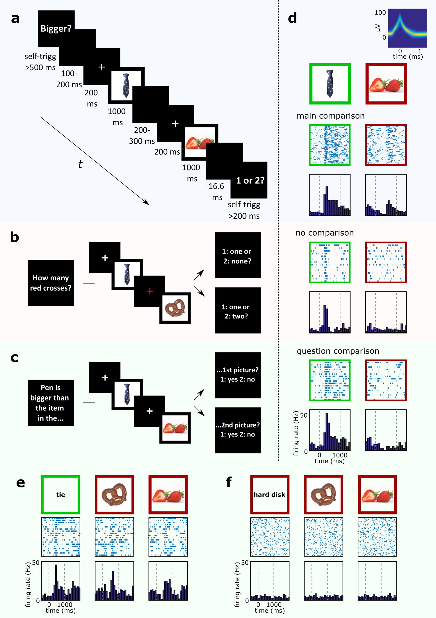 Neuronal baseline shifts underlying boundary setting during free recall