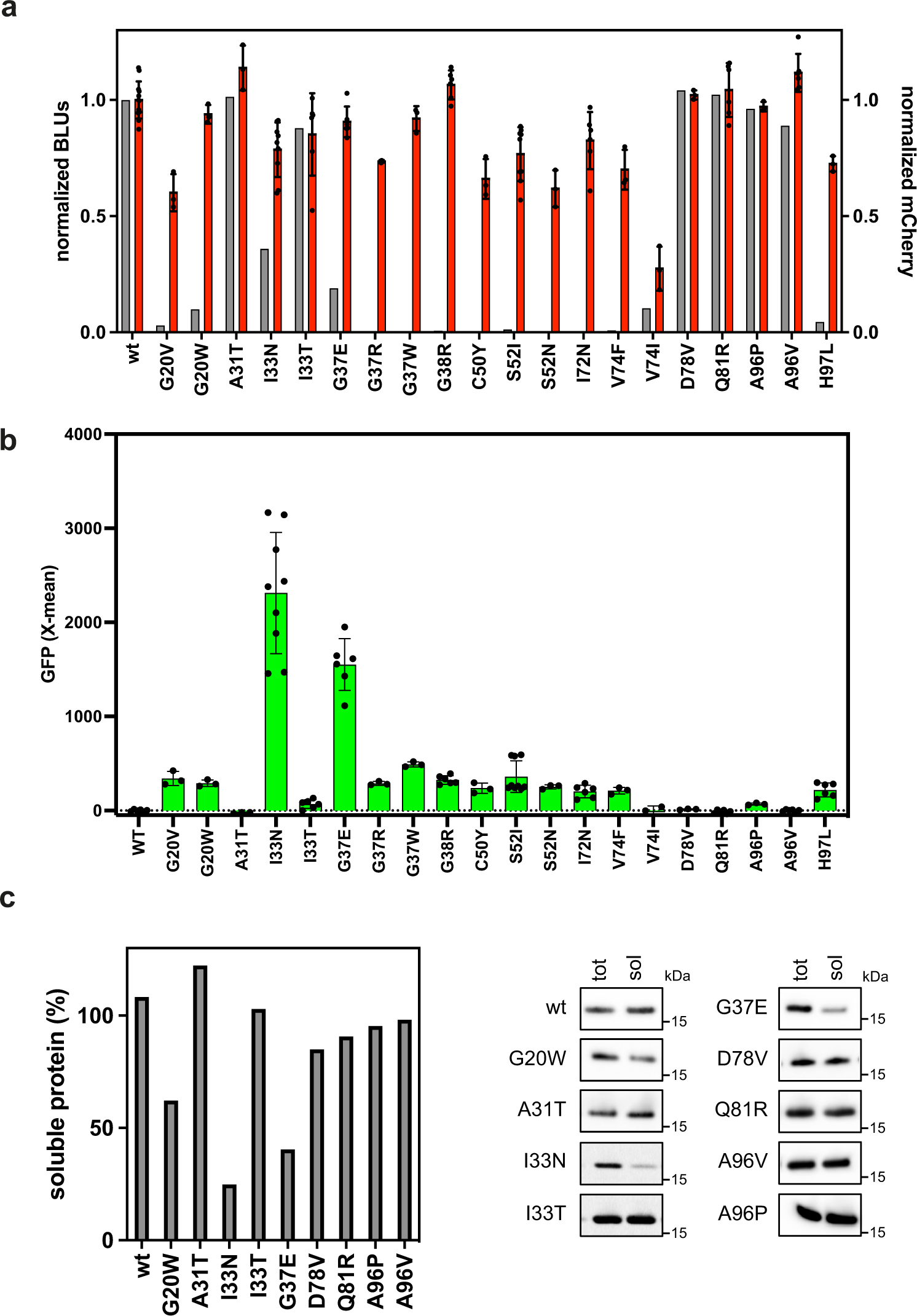 Fig. 6: PARP1-BRCT mutants with changed folding properties identified from a randomly generated mutant library using the dual-reporter system.