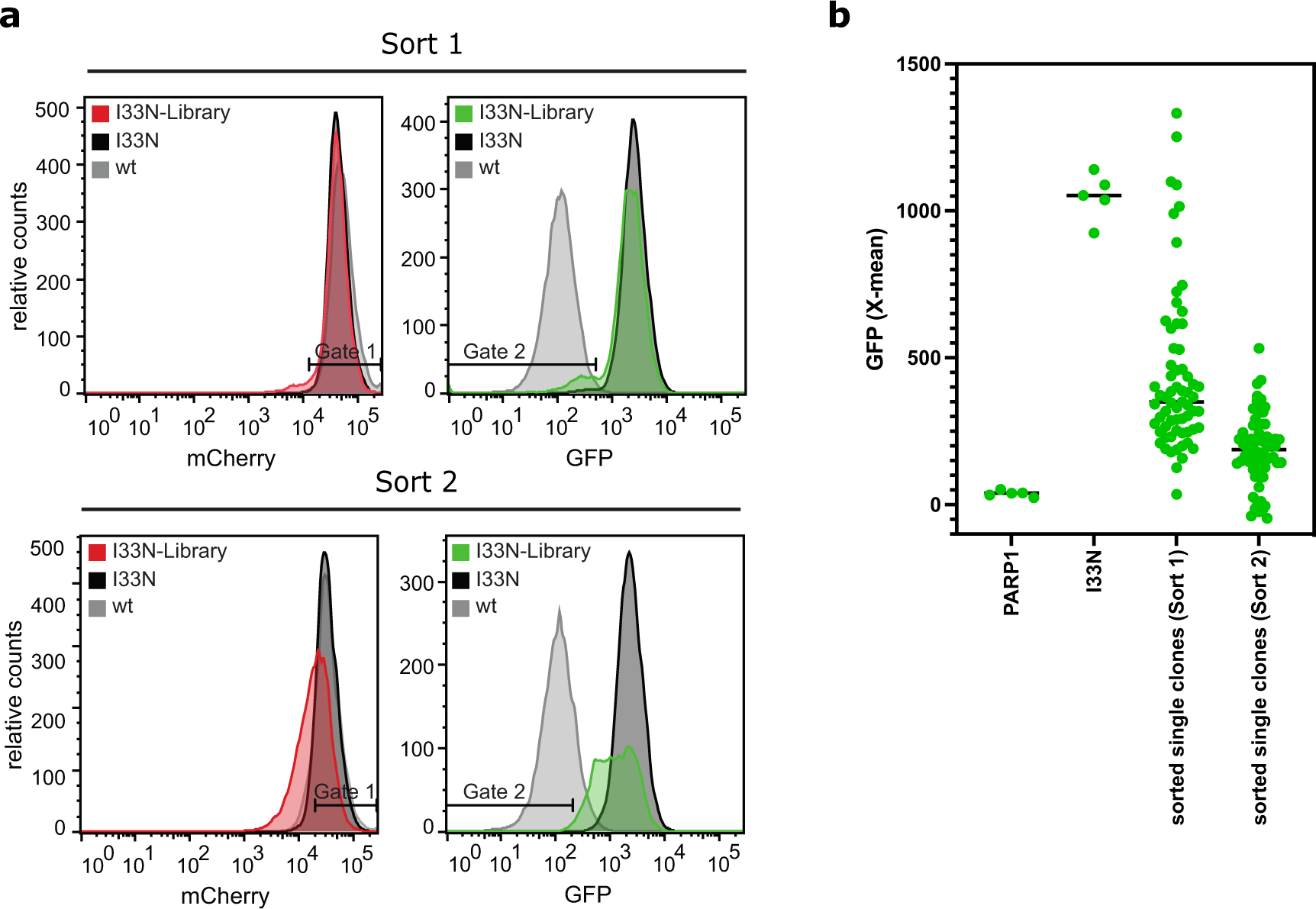 Fig. 7: Identification of protein variants with improved folding properties from a PARP1-BRCT-I33N mutant library using the dual-reporter system.