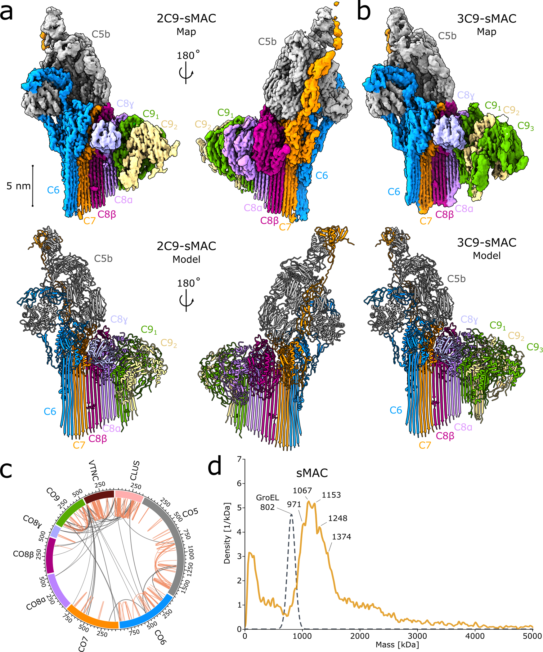 Structural basis of soluble membrane attack complex packaging for clearance  | Nature Communications
