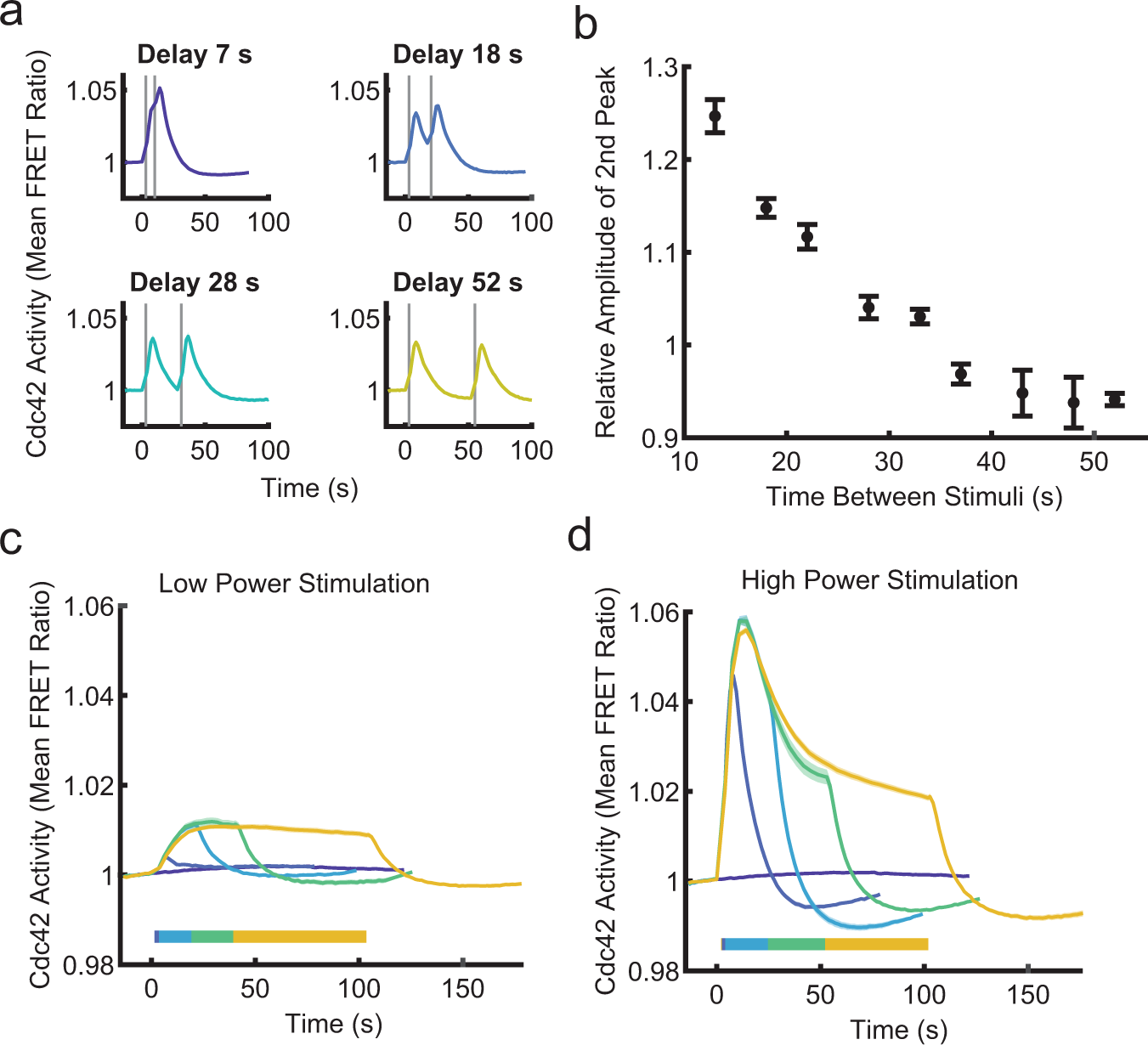 Fig. 3: The Cdc42 circuit is regulated by complex, multi-level negative regulation.