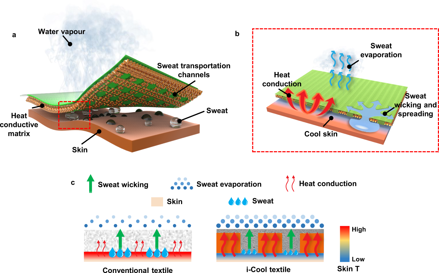 Integrated cooling (i-Cool) textile of heat conduction and sweat  transportation for personal perspiration management | Nature Communications