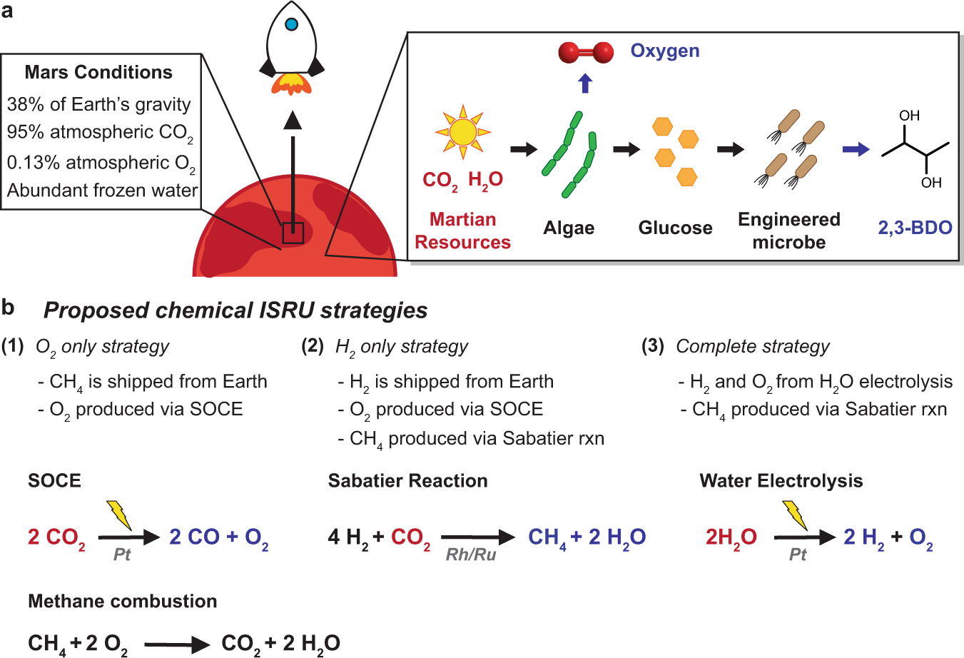 Toward sustainable space exploration: a roadmap for harnessing the power of  microorganisms