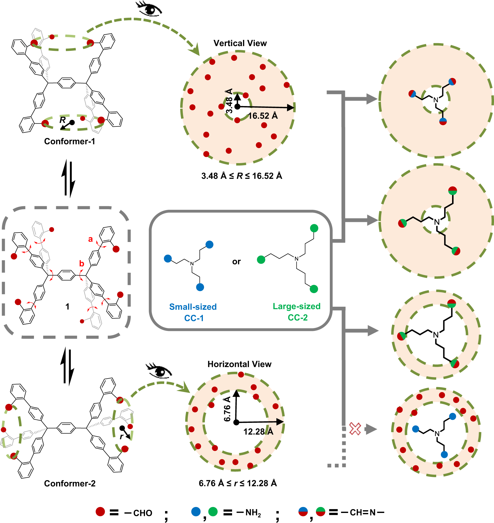 Fig. 1: Schematic representation of size-matching strategy for facile identification of two types of conformations of model compound 1 with six formyl groups presented with red dots.