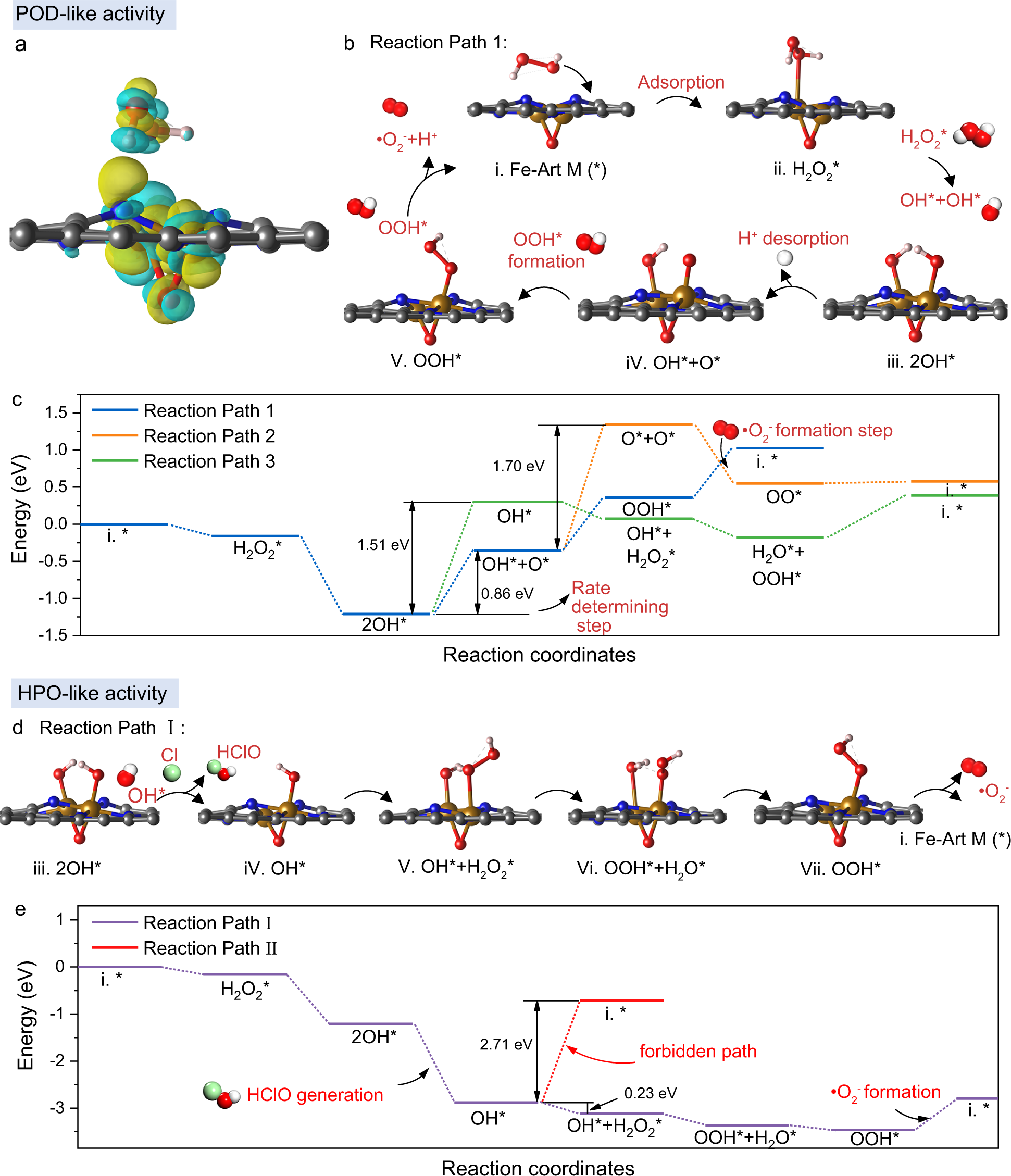 Fig. 5: Theoretical calculation of POD-like and HPO-like ROS catalytic reaction pathways.