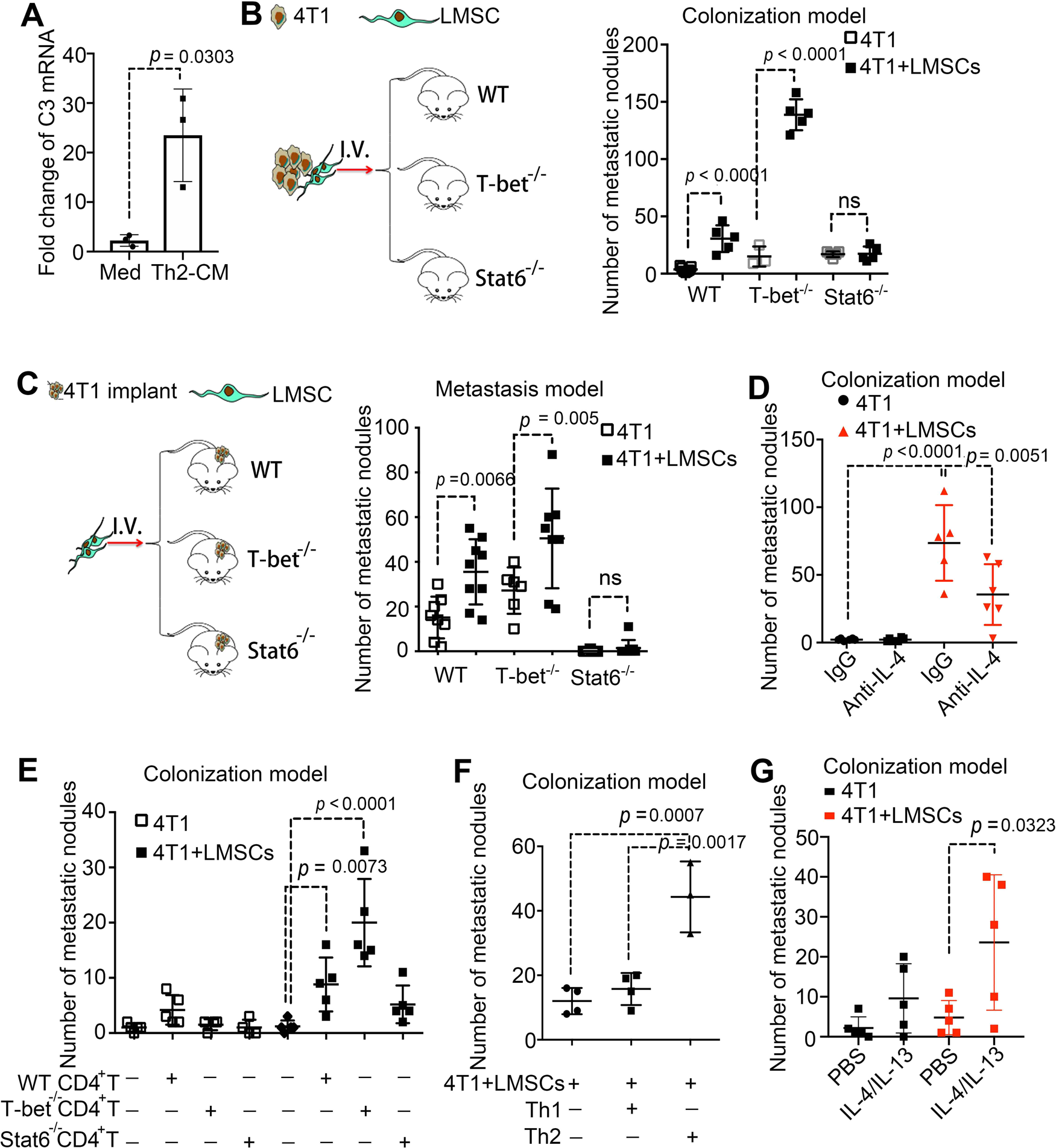 Fig. 6: Th2-polarized microenvironment is required for sustaining the pro-metastatic effect of LMSCs.