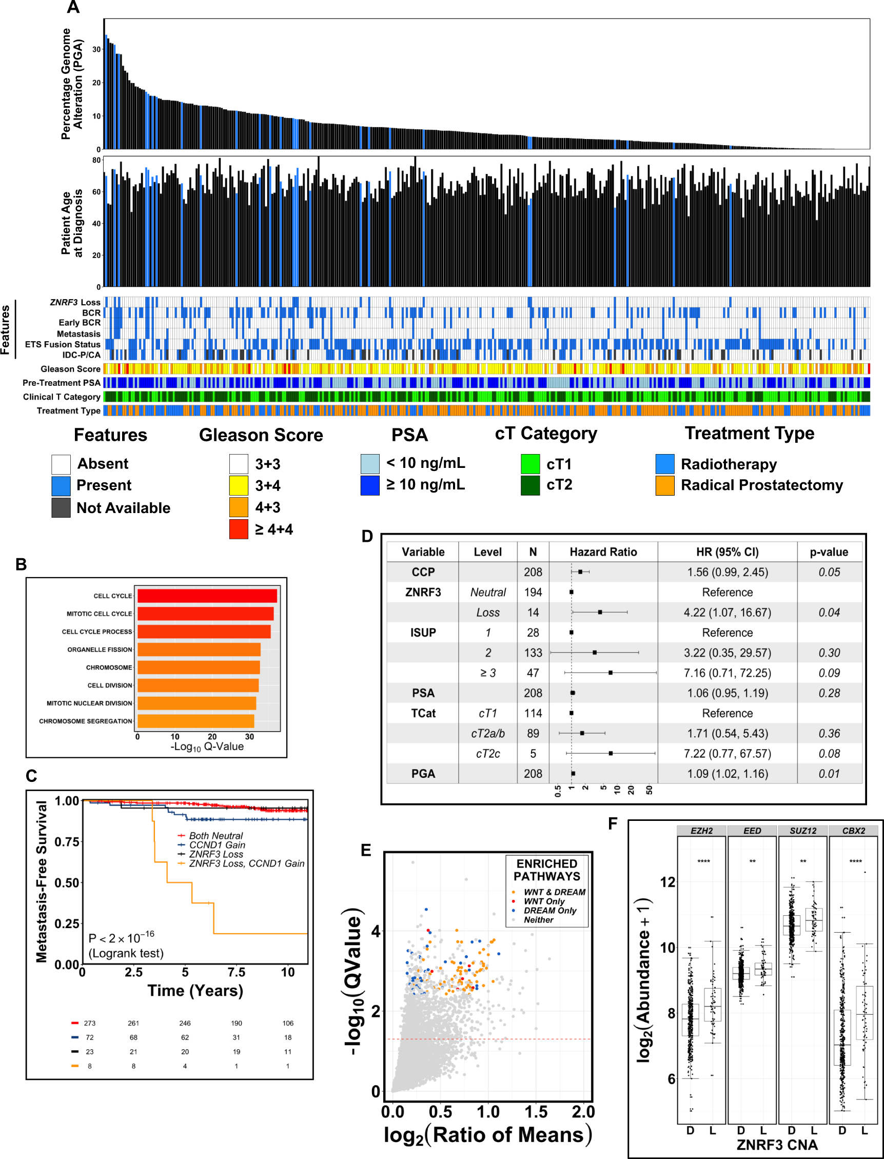 Fig. 5: Molecular and clinical correlates of ZNRF3 genomic loss.