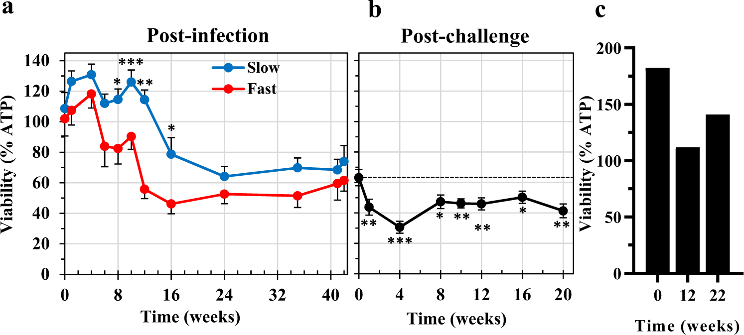Fig. 7: Enhanced mortality of 3-day-old schistosomula cocultured with rhesus plasma.