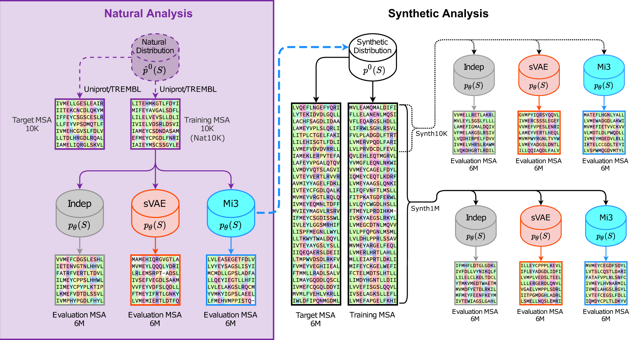 The generative capacity of probabilistic protein sequence models | Nature  Communications