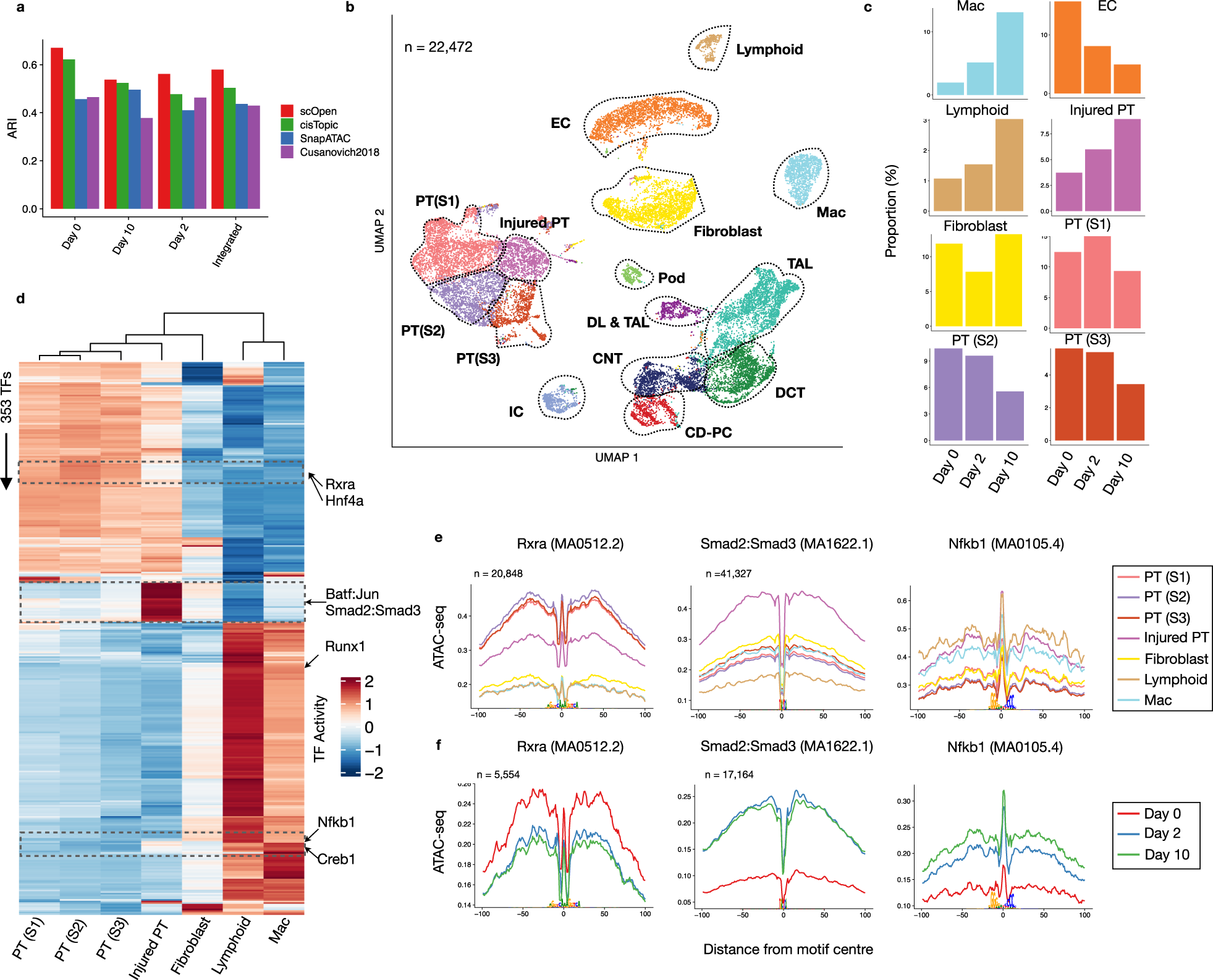 Fig. 3: scOpen characterizes the progression of kidney fibrosis.