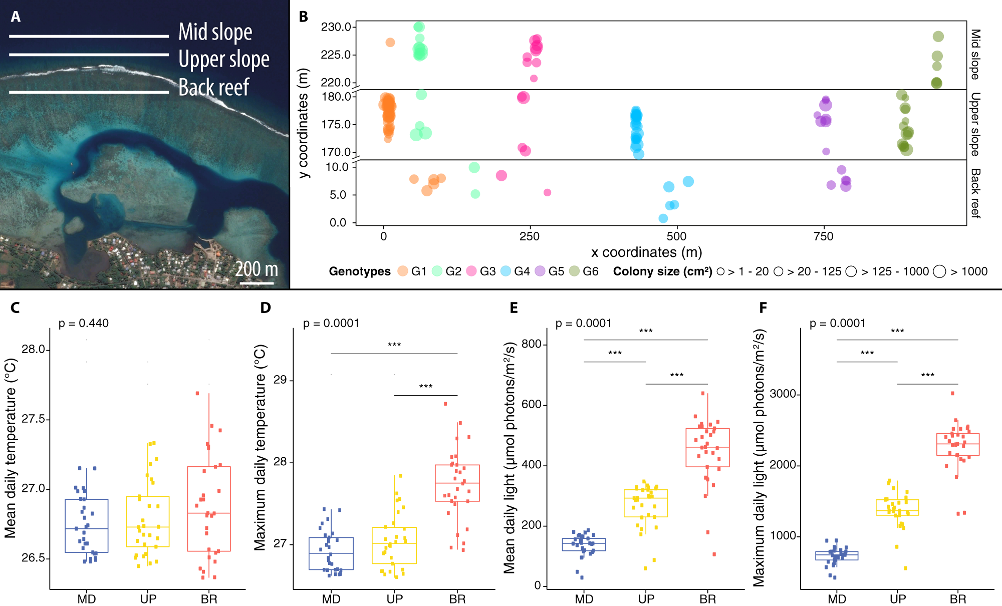 Fig. 1: Design of in situ surveys using fire coral clones to resolve the contribution of host genotype and environment on microbiome structure.