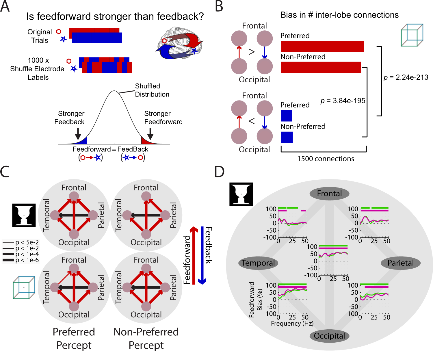 Fig. 3: A backbone of feedforward activity flow during perceptual maintenance.