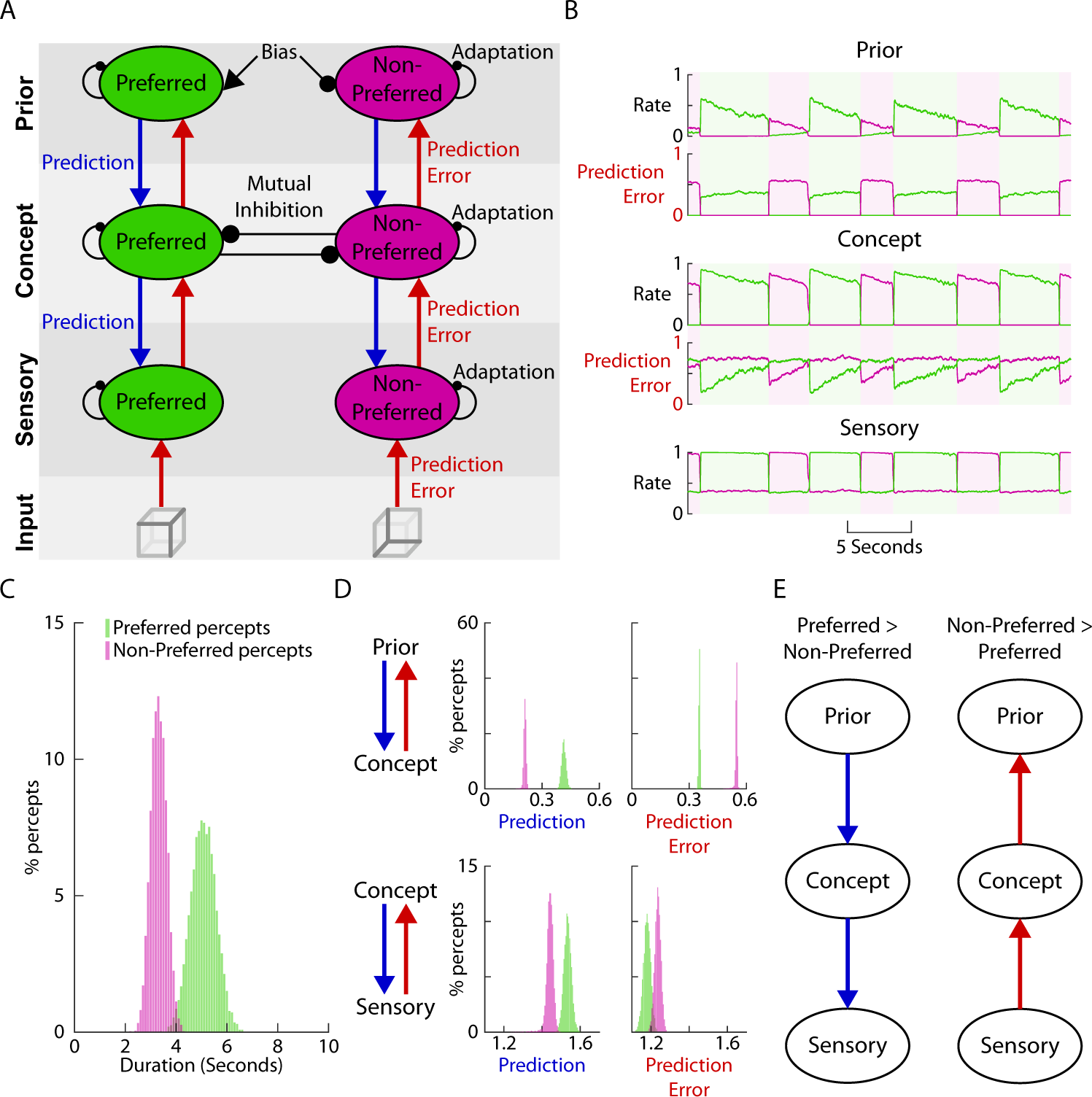 Fig. 5: A computational model incorporating hierarchical predictive coding and attractor networks reproduces main experimental findings.