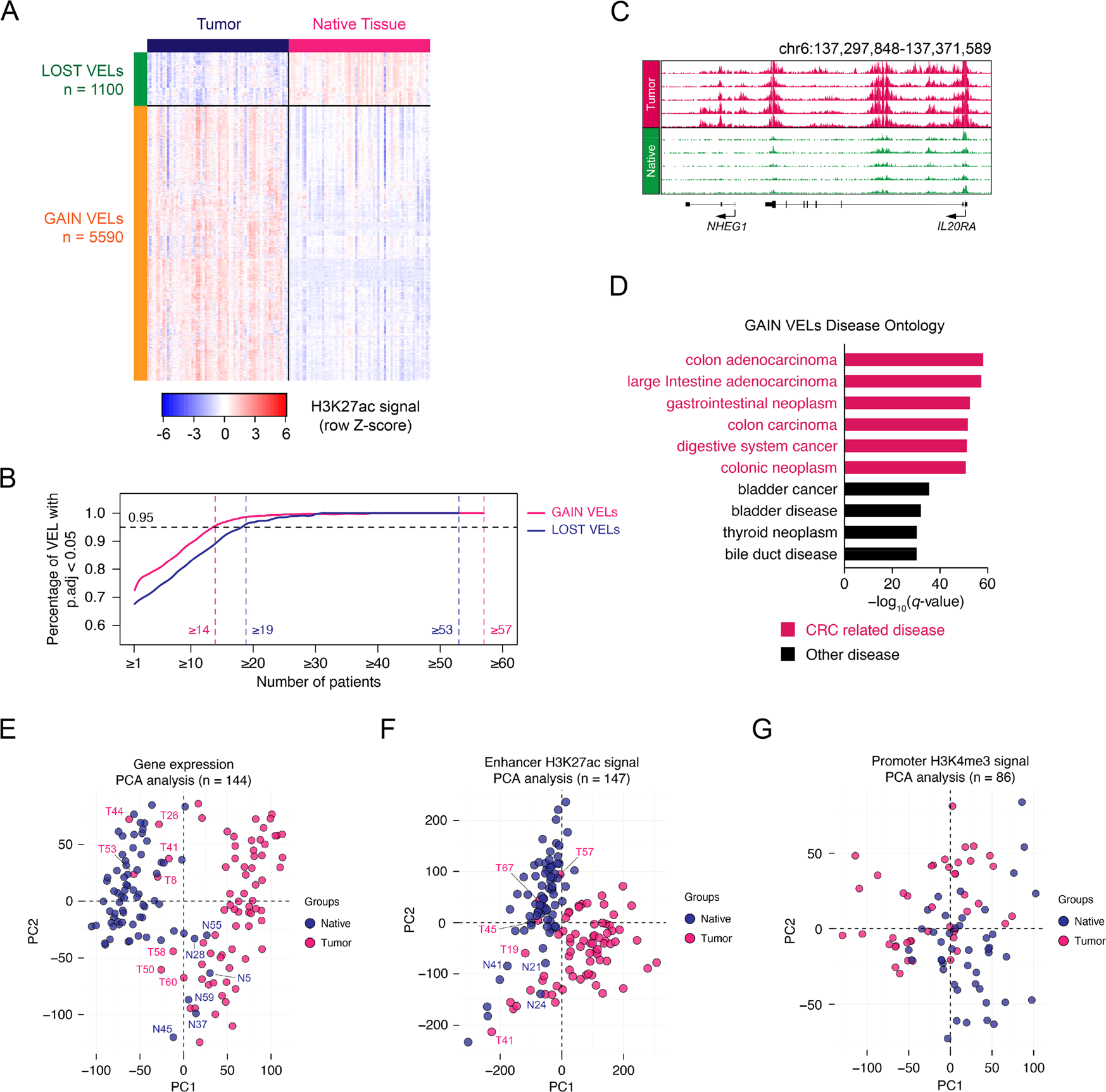 Fig. 2: Identification of variant enhancer loci in CRC.
